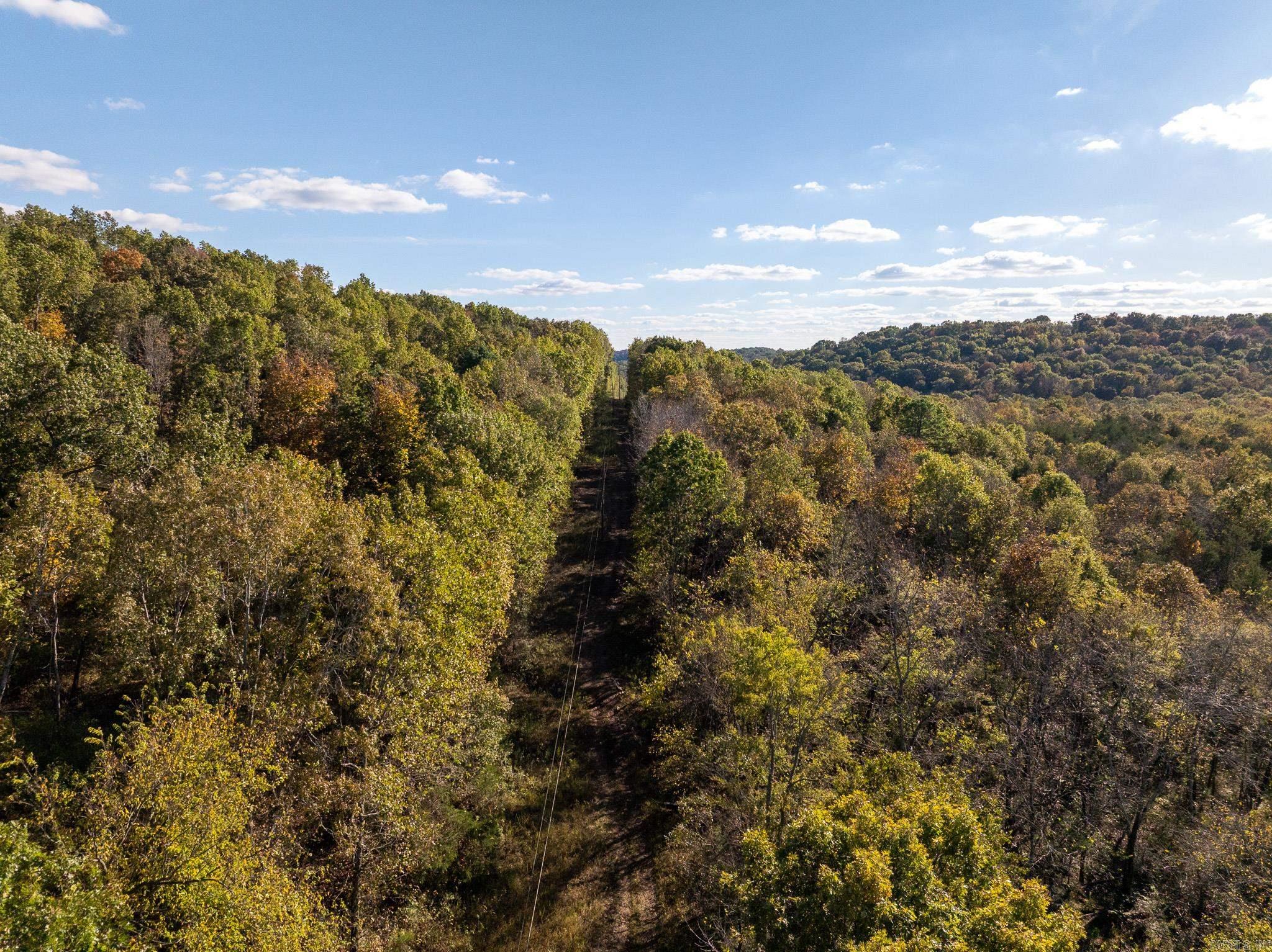 Photo 13 - Vacant Land for sale – 000  Sandtown   Cushman, AR