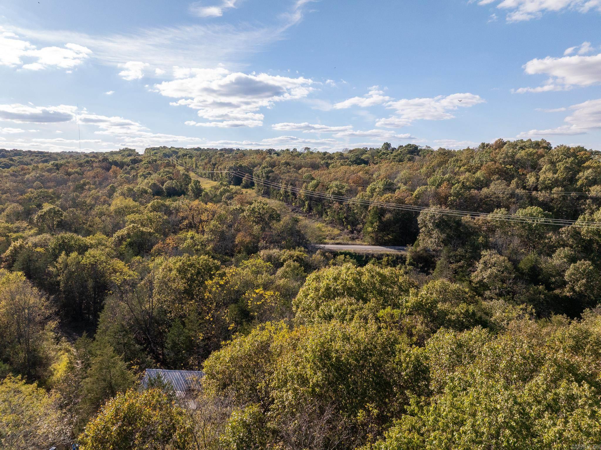 Photo 14 - Vacant Land for sale – 000  Sandtown   Cushman, AR