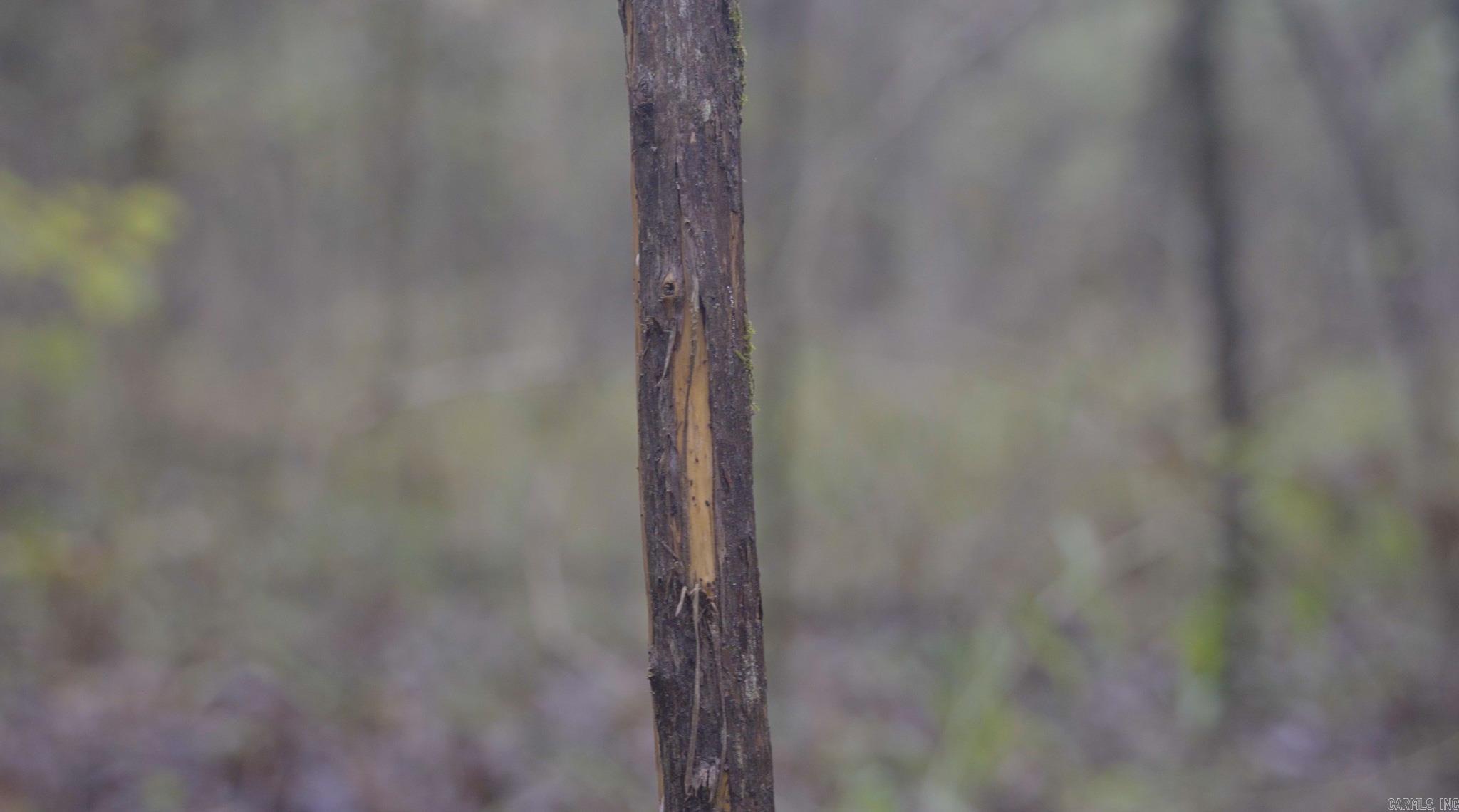 Photo 15 - Vacant Land for sale – 000  Sandtown   Cushman, AR