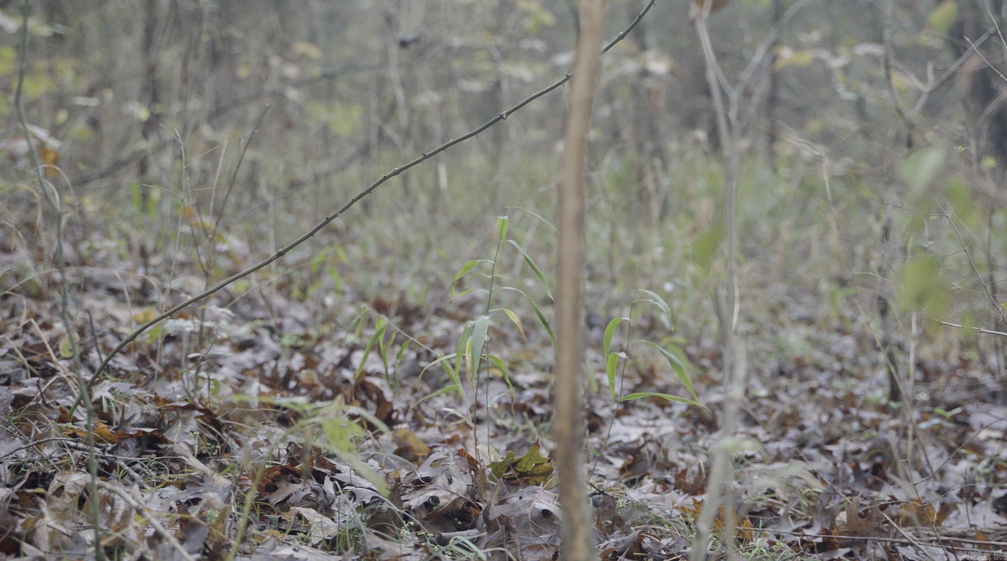 Photo 16 - Vacant Land for sale – 000  Sandtown   Cushman, AR