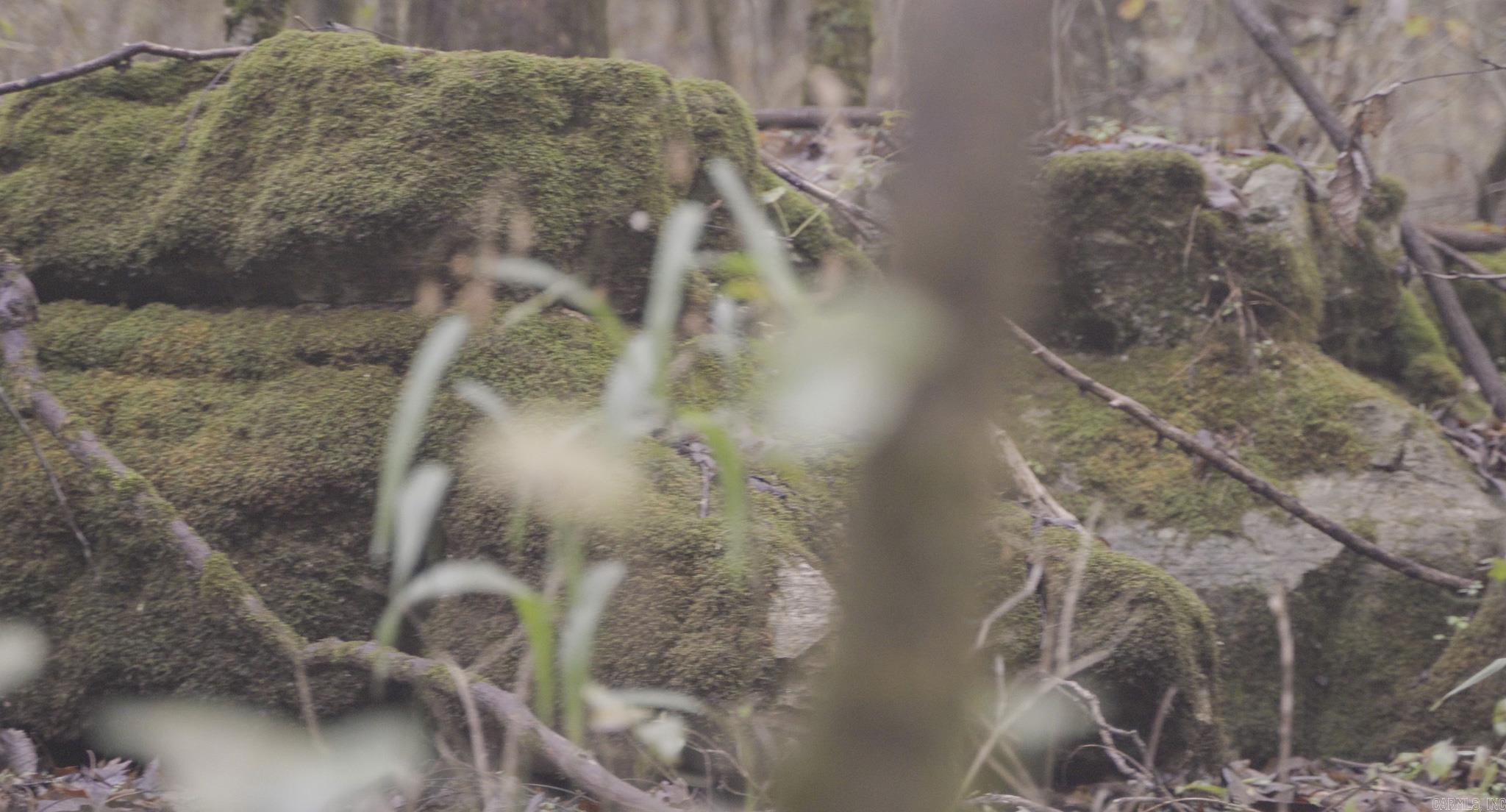 Photo 17 - Vacant Land for sale – 000  Sandtown   Cushman, AR