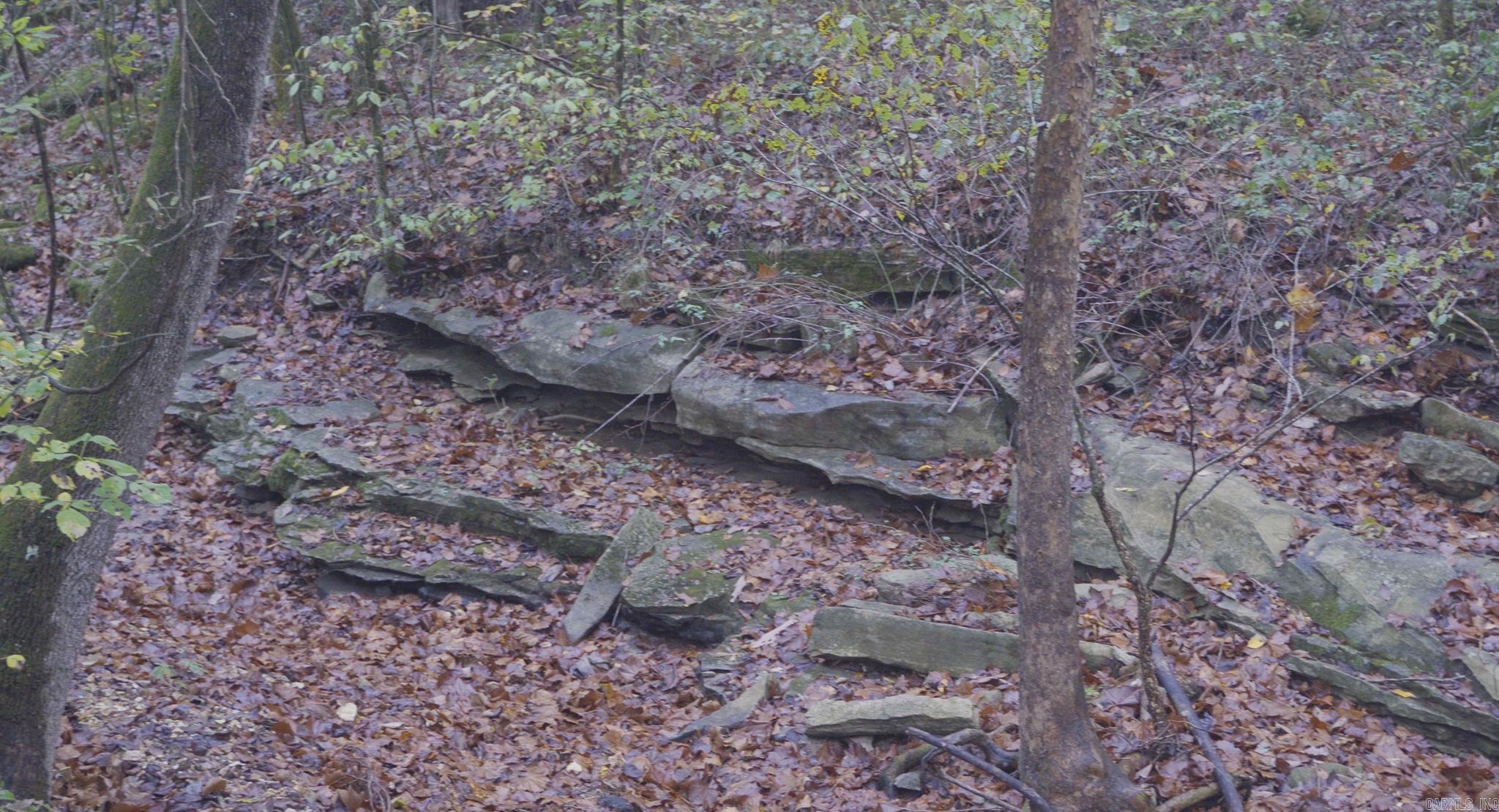 Photo 18 - Vacant Land for sale – 000  Sandtown   Cushman, AR