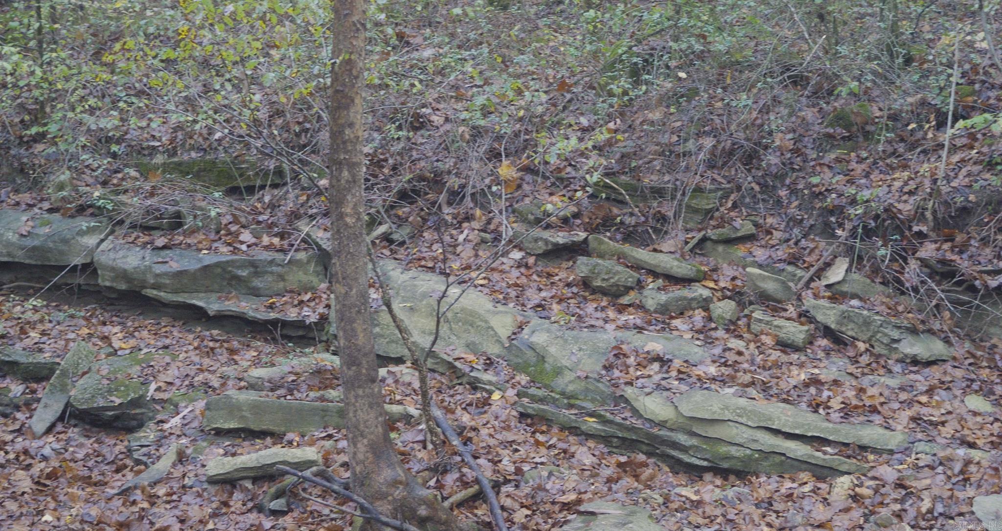 Photo 19 - Vacant Land for sale – 000  Sandtown   Cushman, AR