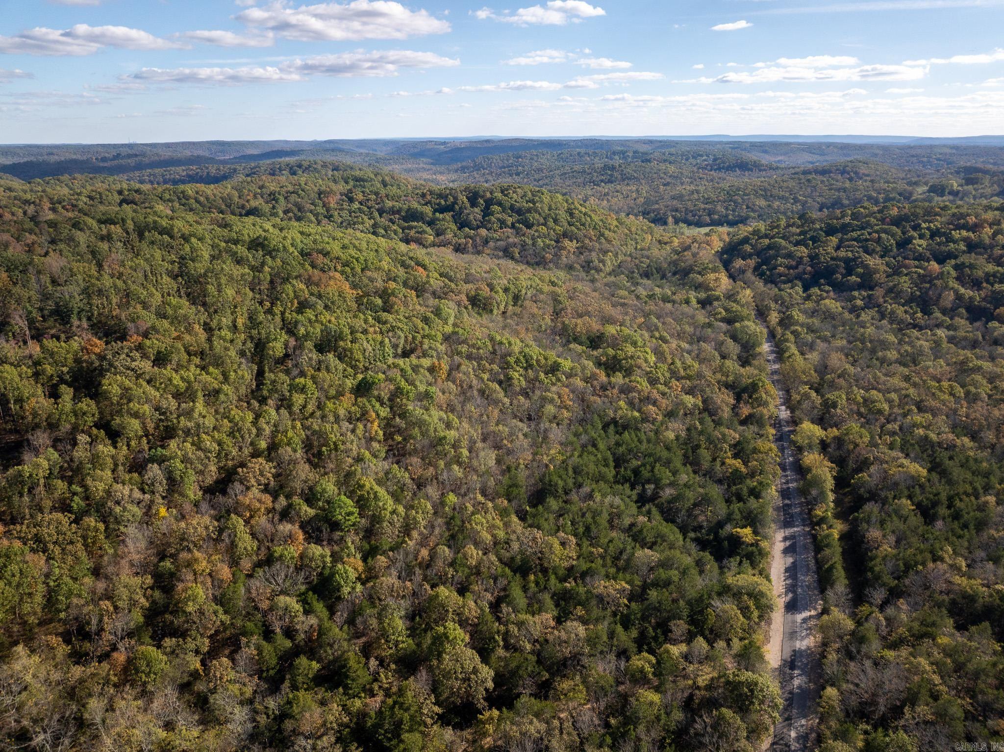 Photo 3 - Vacant Land for sale – 000  Sandtown   Cushman, AR