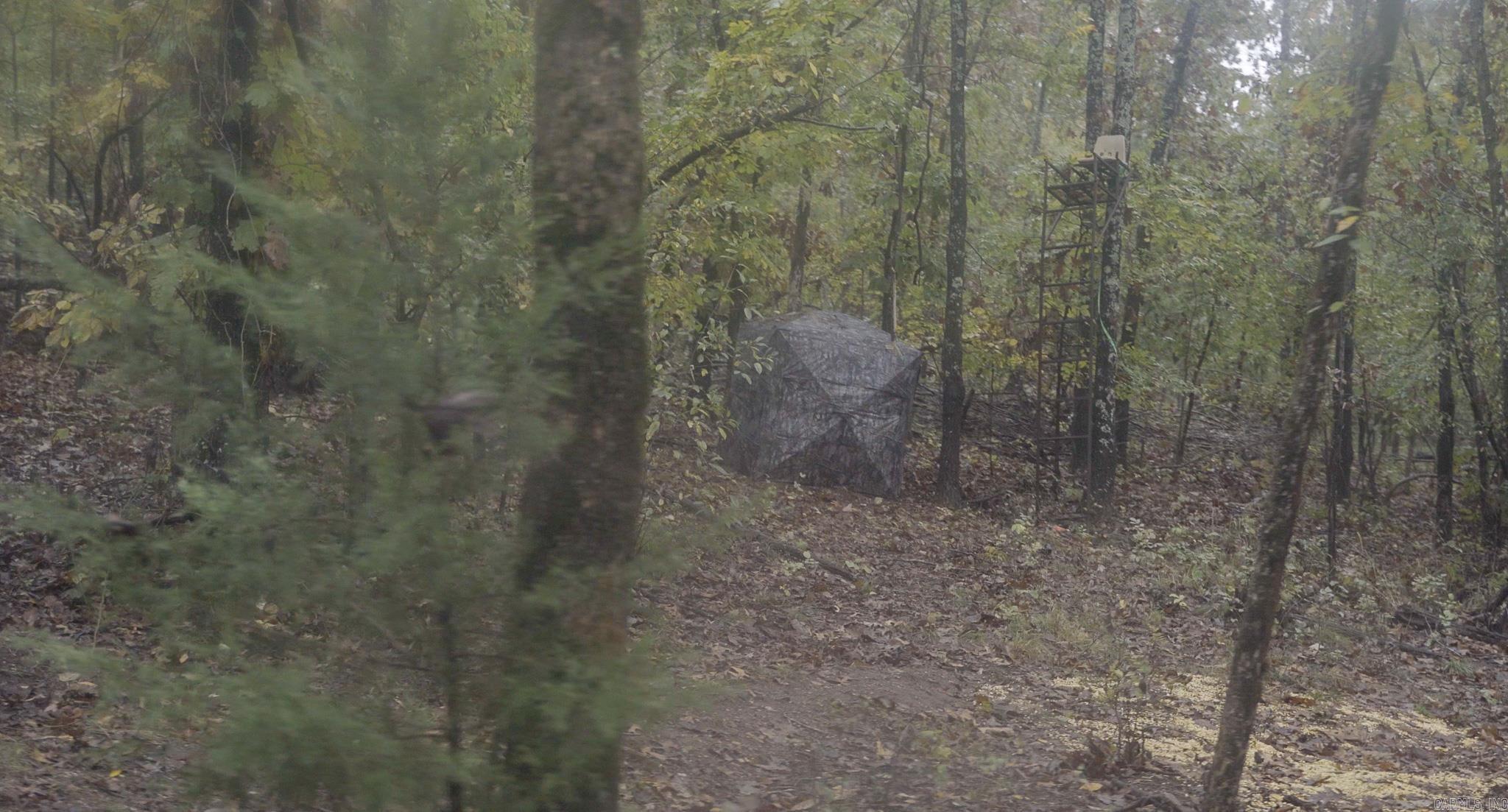 Photo 21 - Vacant Land for sale – 000  Sandtown   Cushman, AR