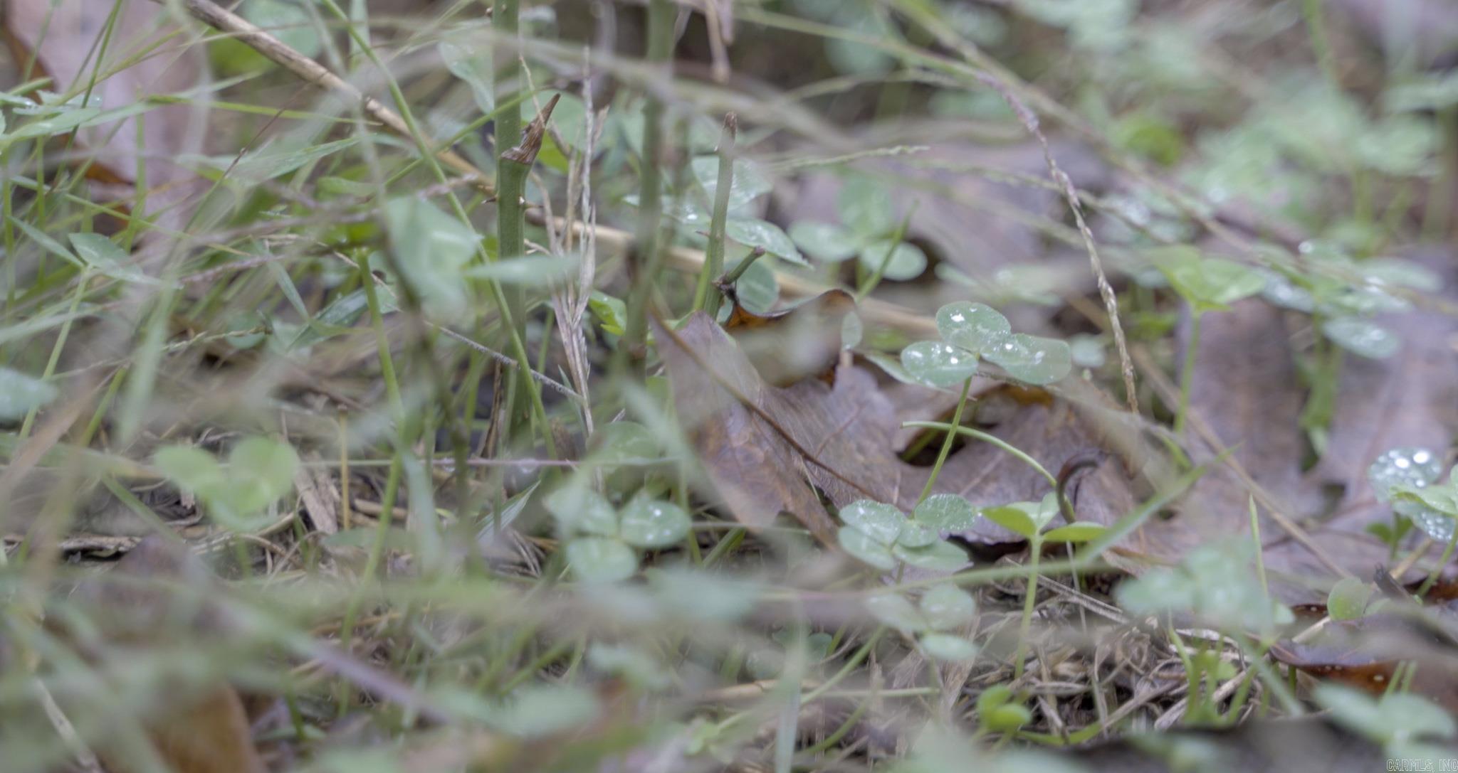 Photo 22 - Vacant Land for sale – 000  Sandtown   Cushman, AR