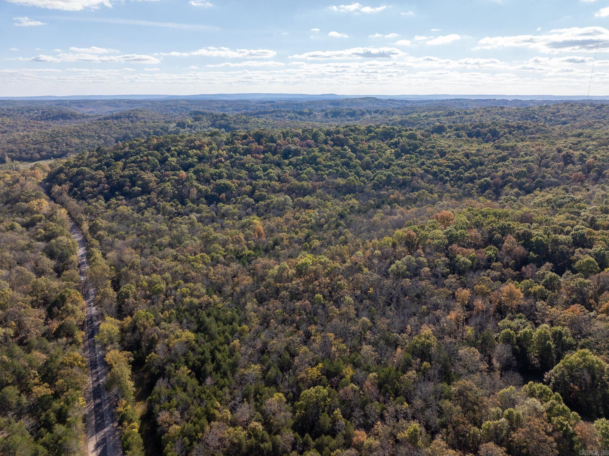 Photo 4 - Vacant Land for sale – 000  Sandtown   Cushman, AR