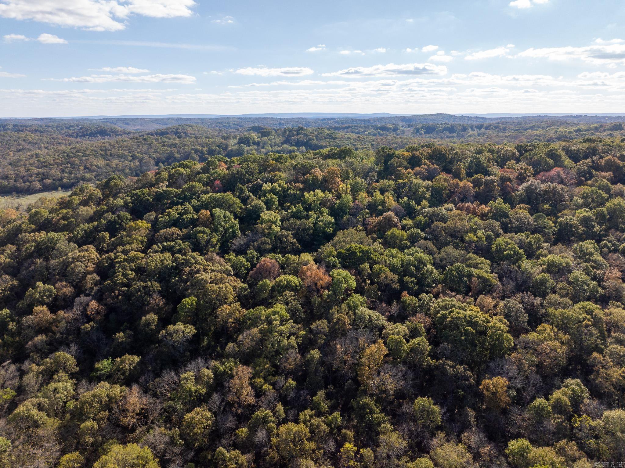 Photo 5 - Vacant Land for sale – 000  Sandtown   Cushman, AR