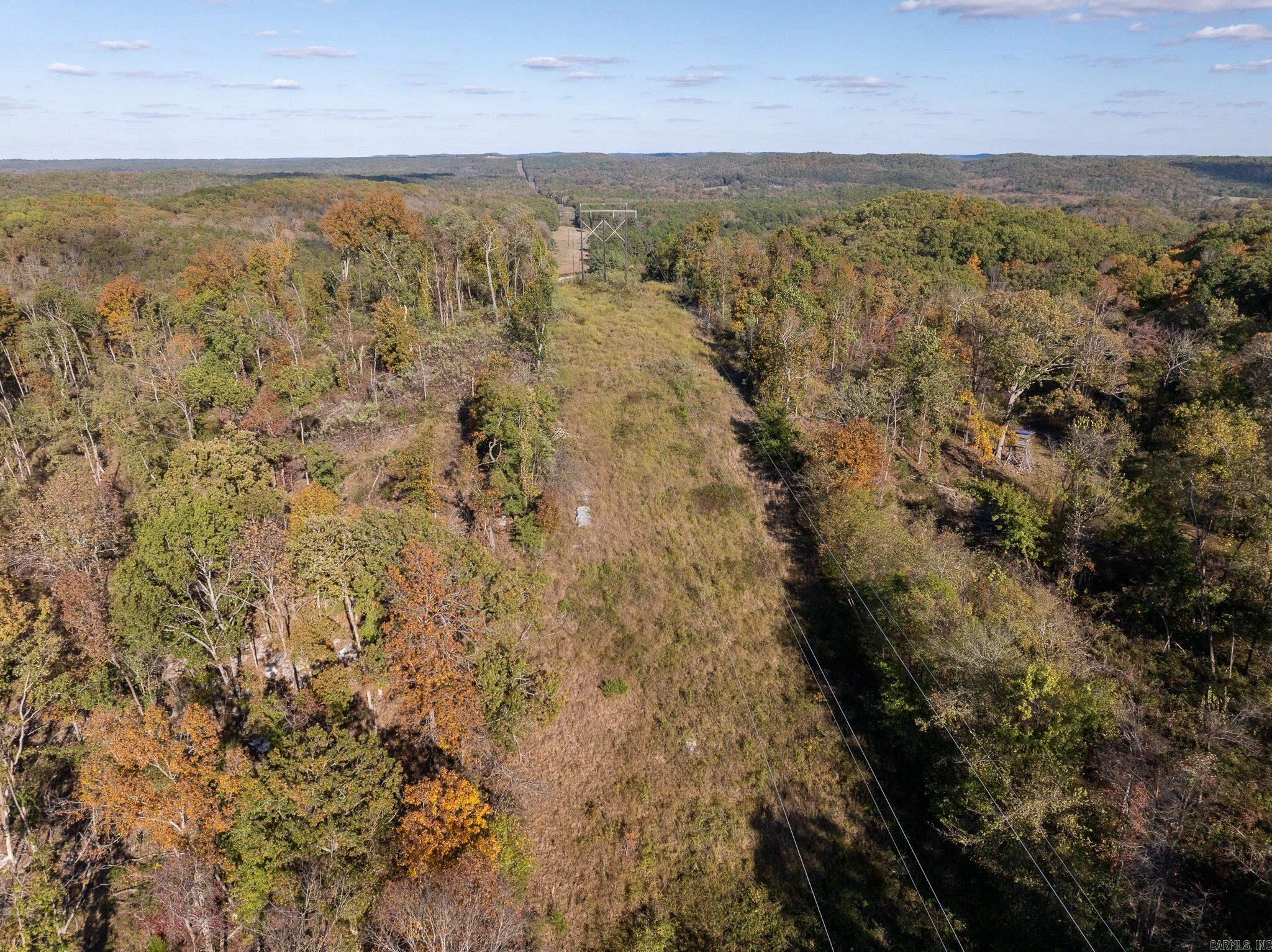 Photo 9 - Vacant Land for sale – 000  Sandtown   Cushman, AR