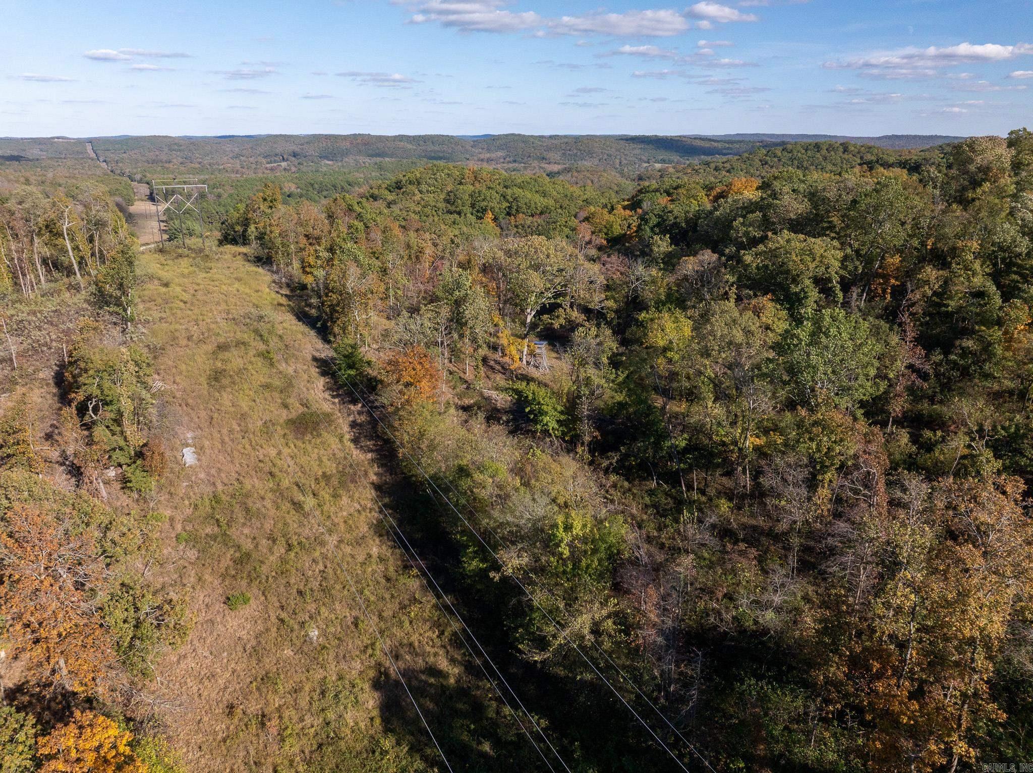 Photo 10 - Vacant Land for sale – 000  Sandtown   Cushman, AR