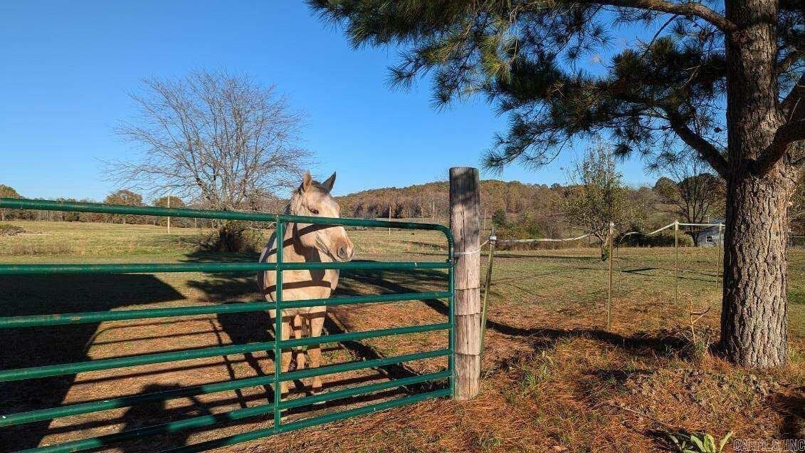 Photo 34 - Residential for sale – 1495  Pickren Hall Rd   Viola, AR