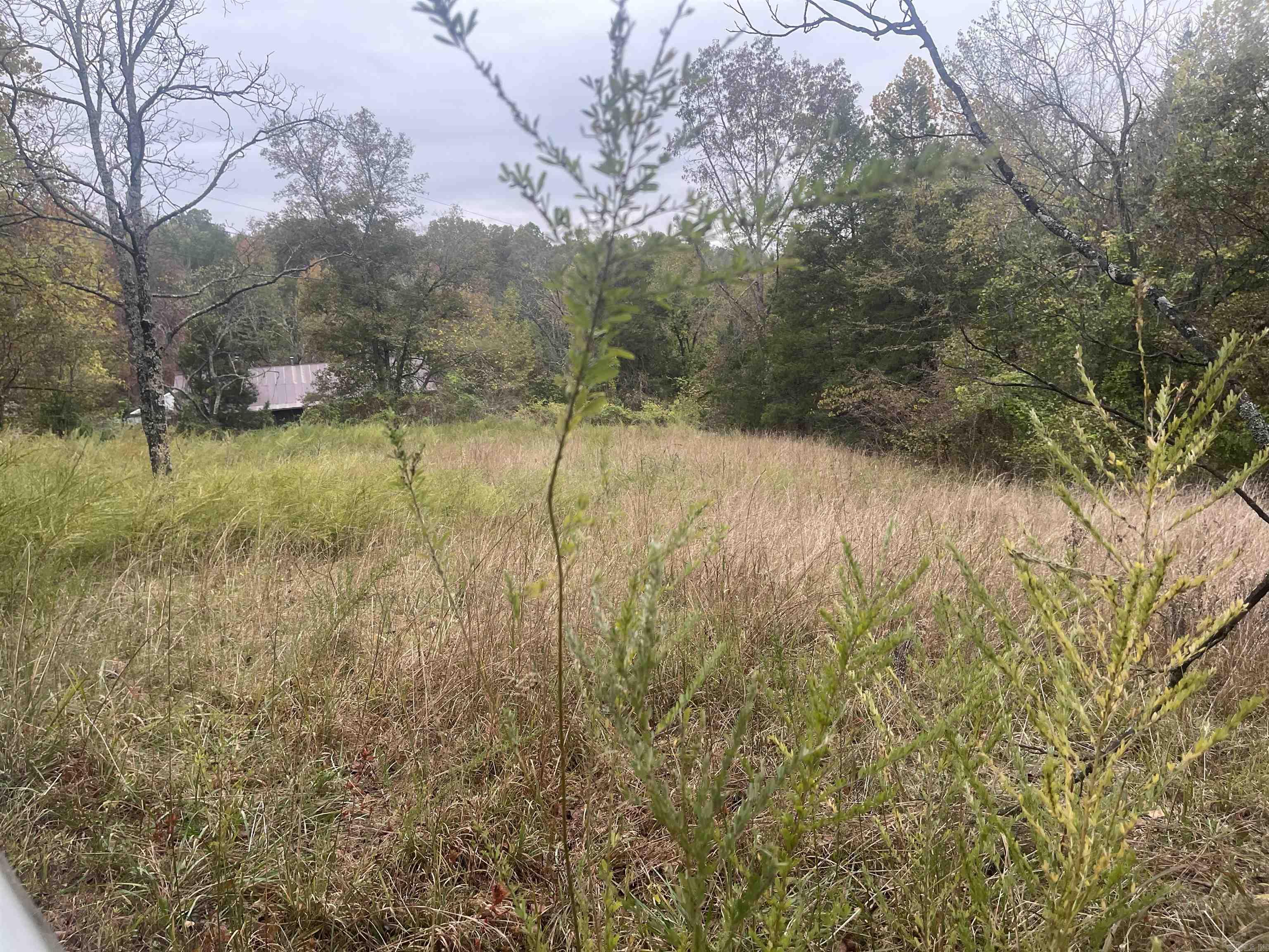 Photo 16 - Residential for sale – 618  Driftwood Drive   Pineville, AR