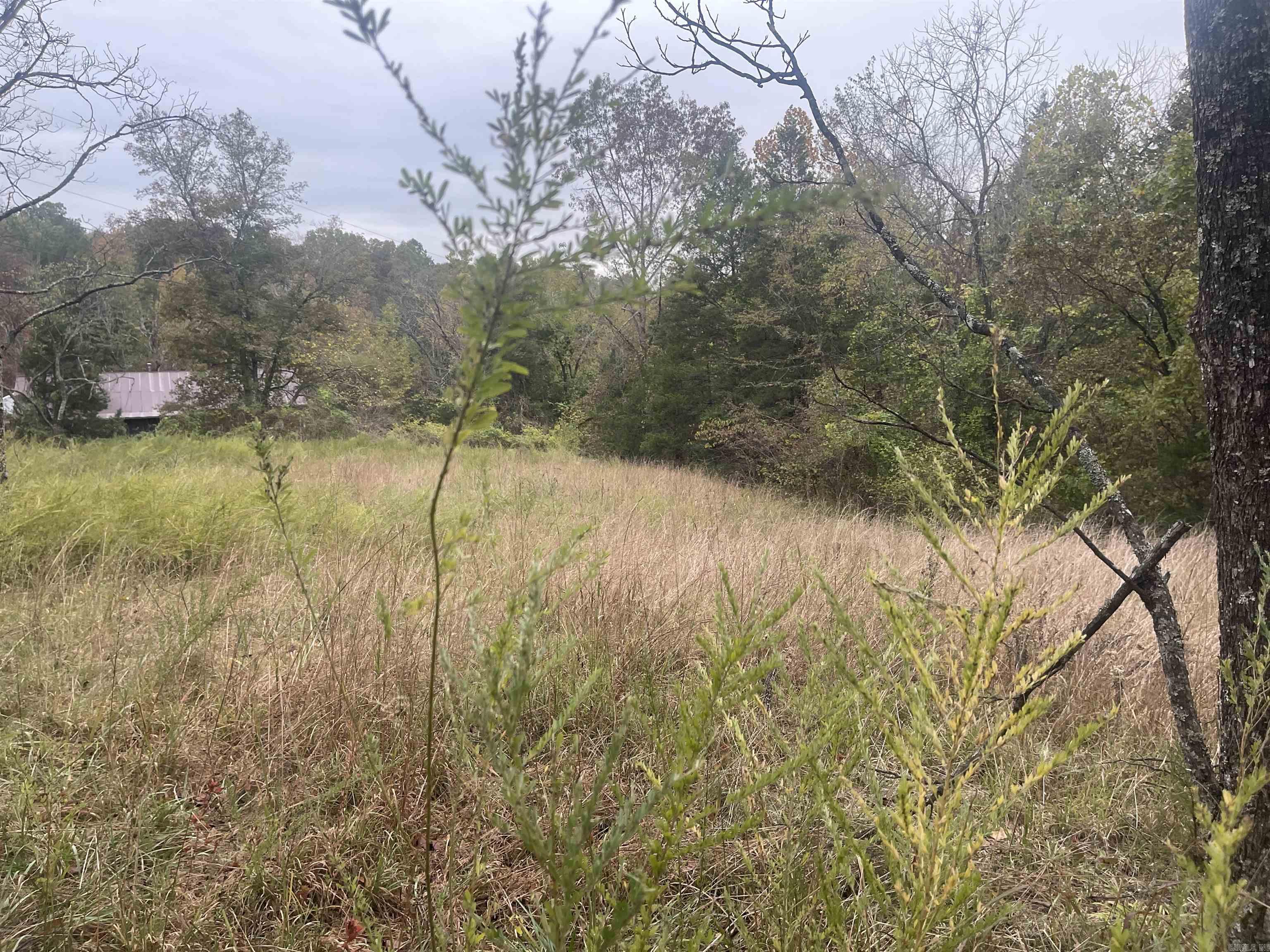 Photo 17 - Residential for sale – 618  Driftwood Drive   Pineville, AR