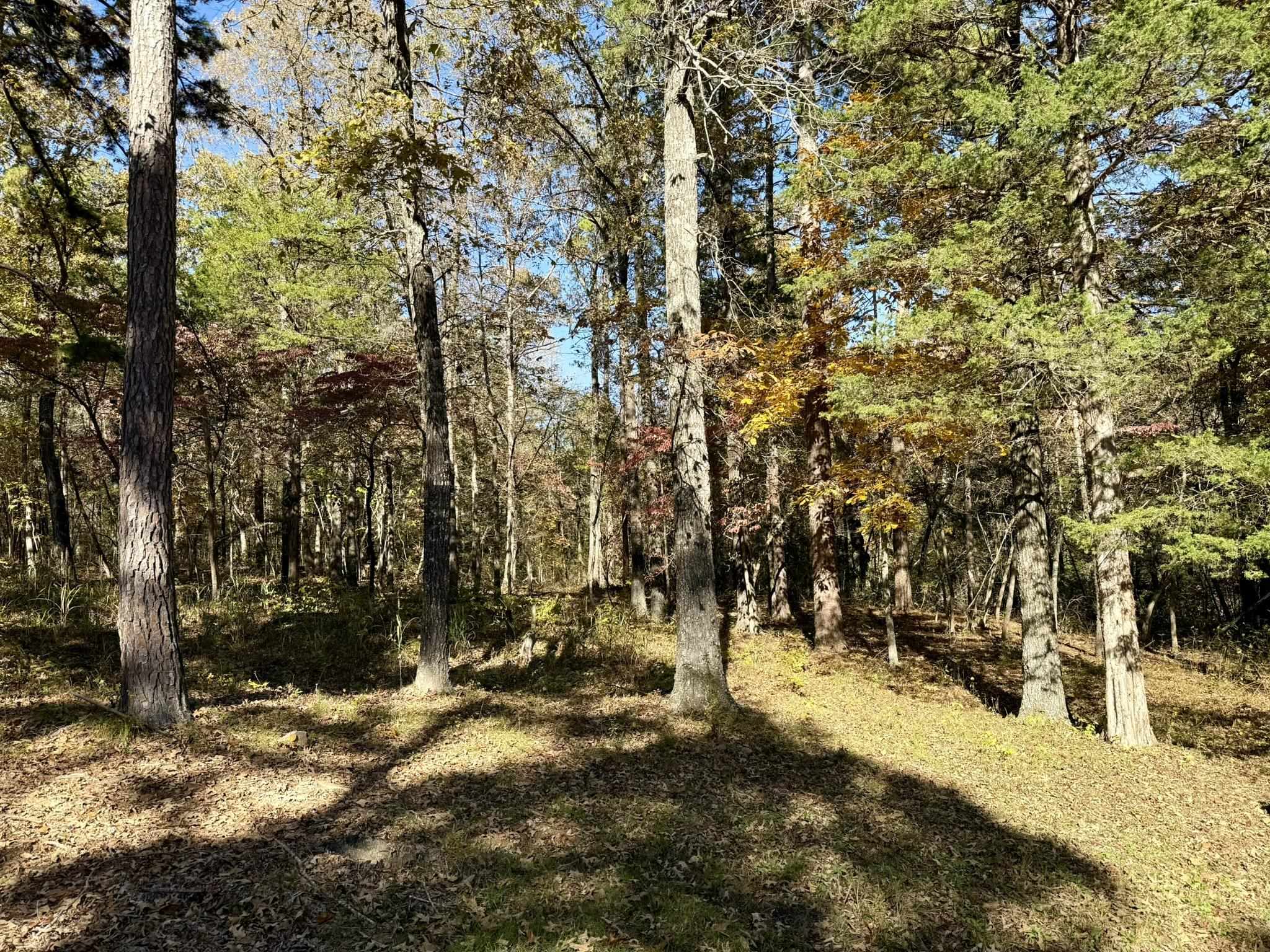 Photo 15 - Residential for sale – 5309  N AR 9 Hwy   Brockwell, AR