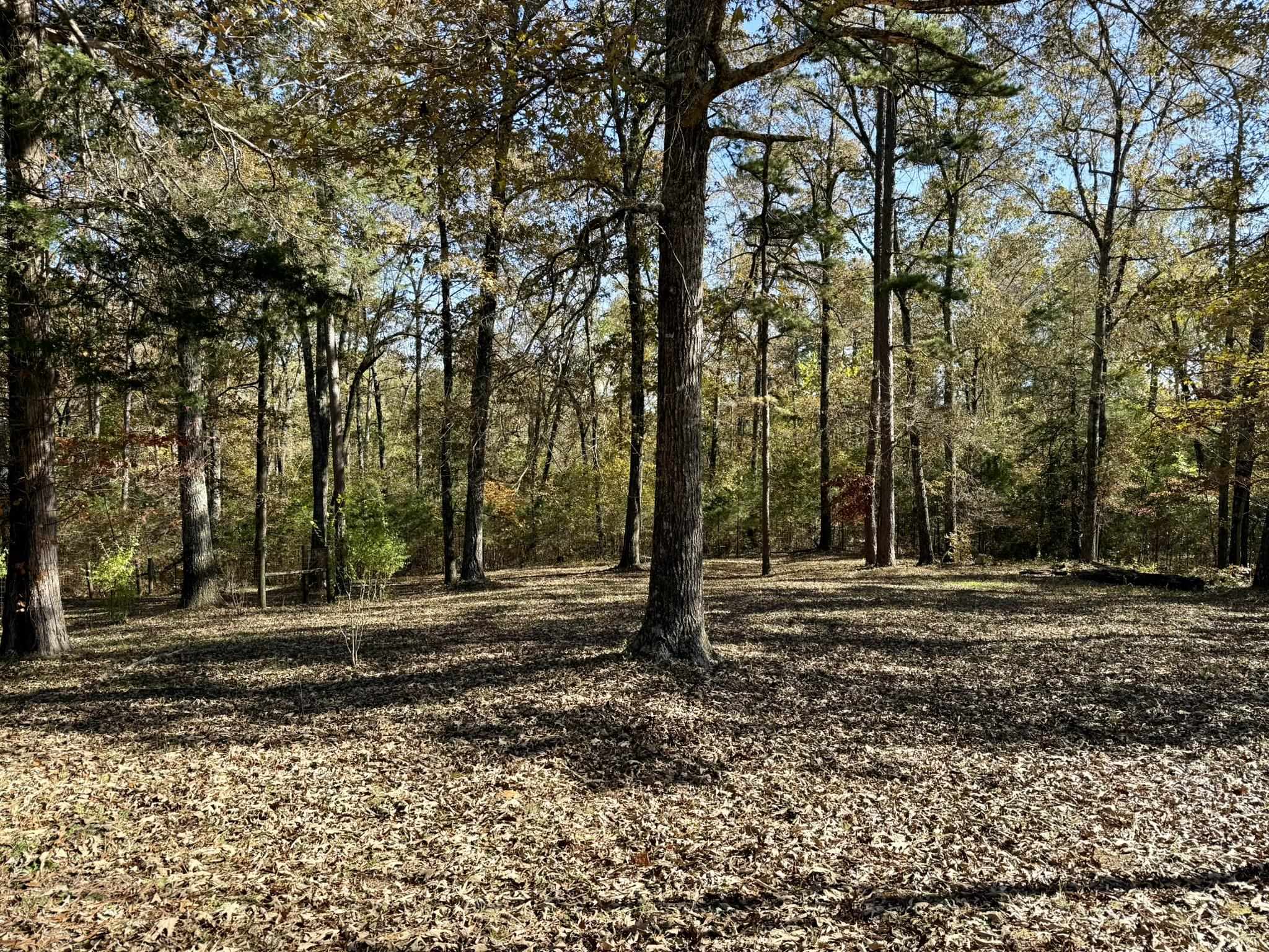 Photo 17 - Residential for sale – 5309  N AR 9 Hwy   Brockwell, AR