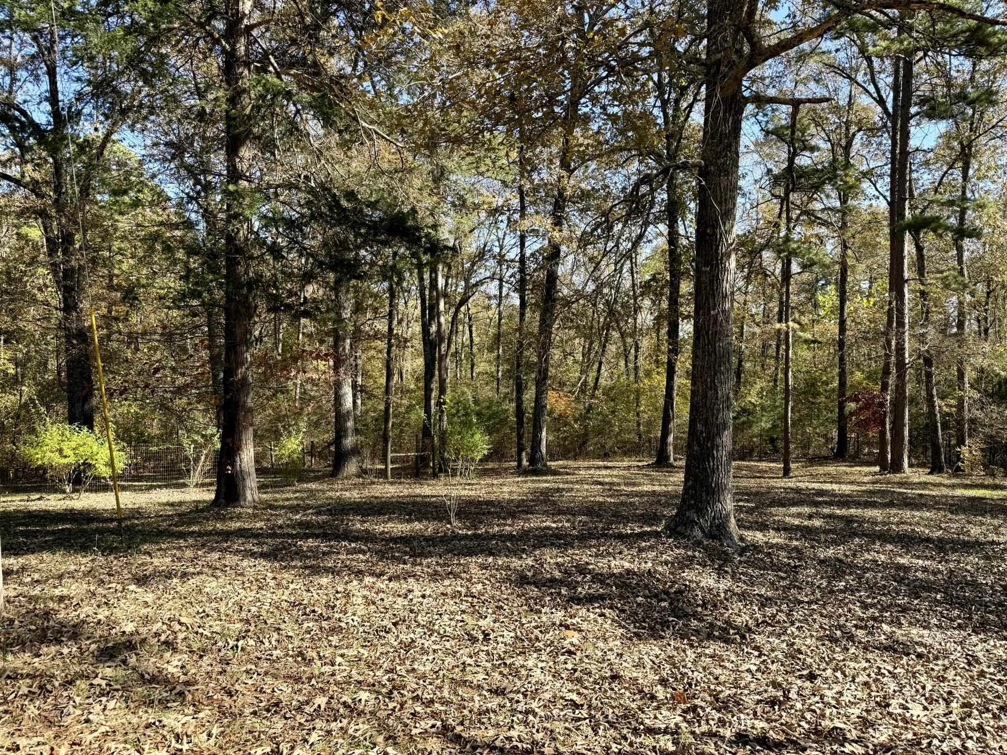 Photo 18 - Residential for sale – 5309  N AR 9 Hwy   Brockwell, AR