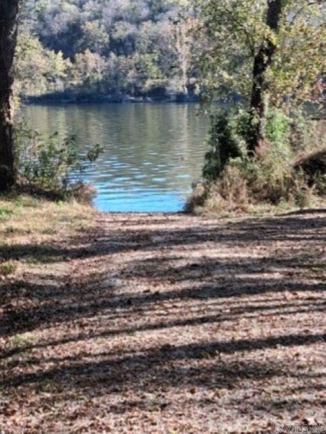 Photo 5 - Vacant Land for sale – 000  Penters Bluff River   Guion, AR