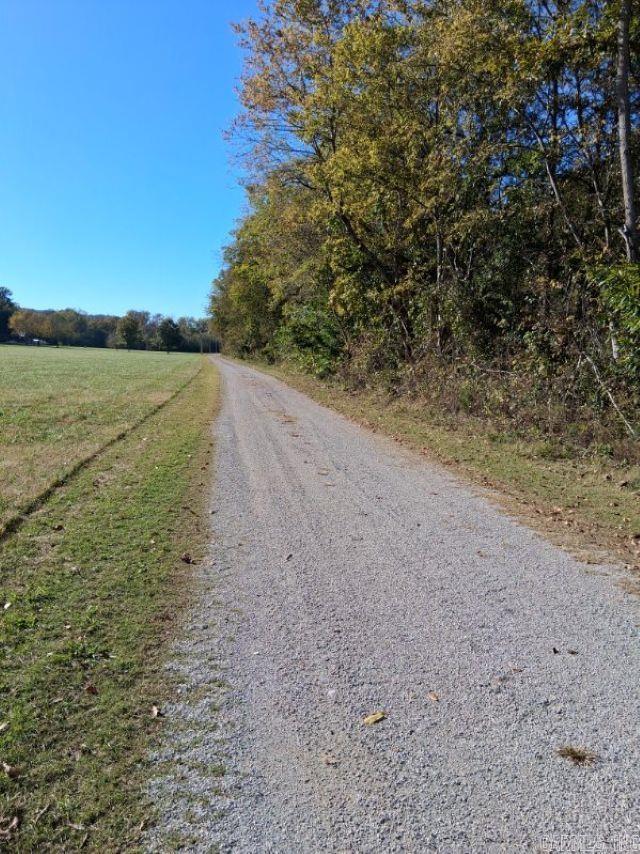 Photo 6 - Vacant Land for sale – 000  Penters Bluff River   Guion, AR