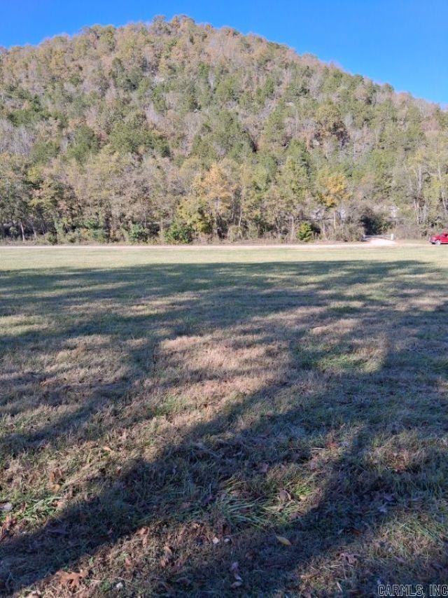 Photo 7 - Vacant Land for sale – 000  Penters Bluff River   Guion, AR