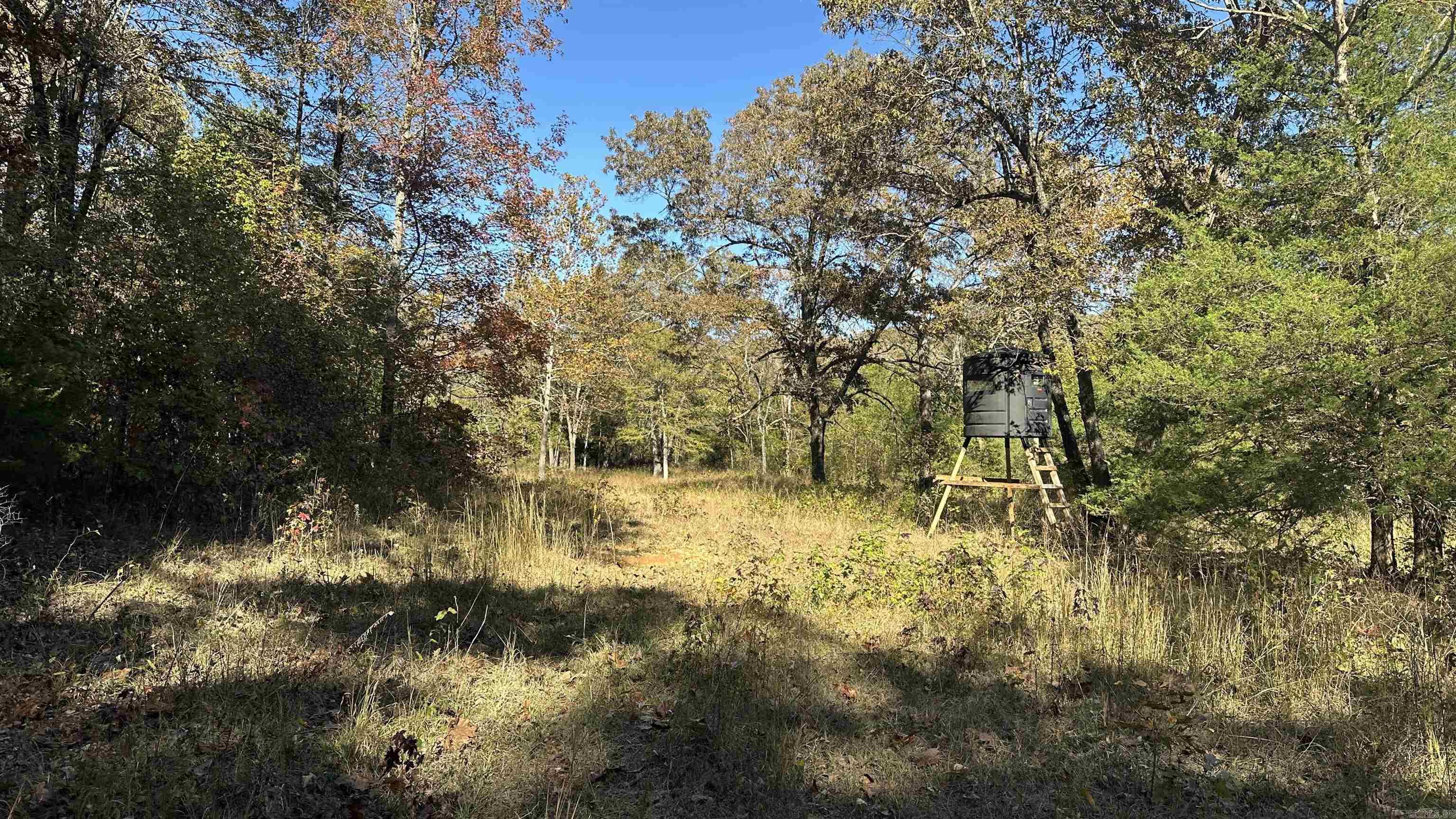 Vacant Land for sale – 000  Schales Rd.   Sitka, AR