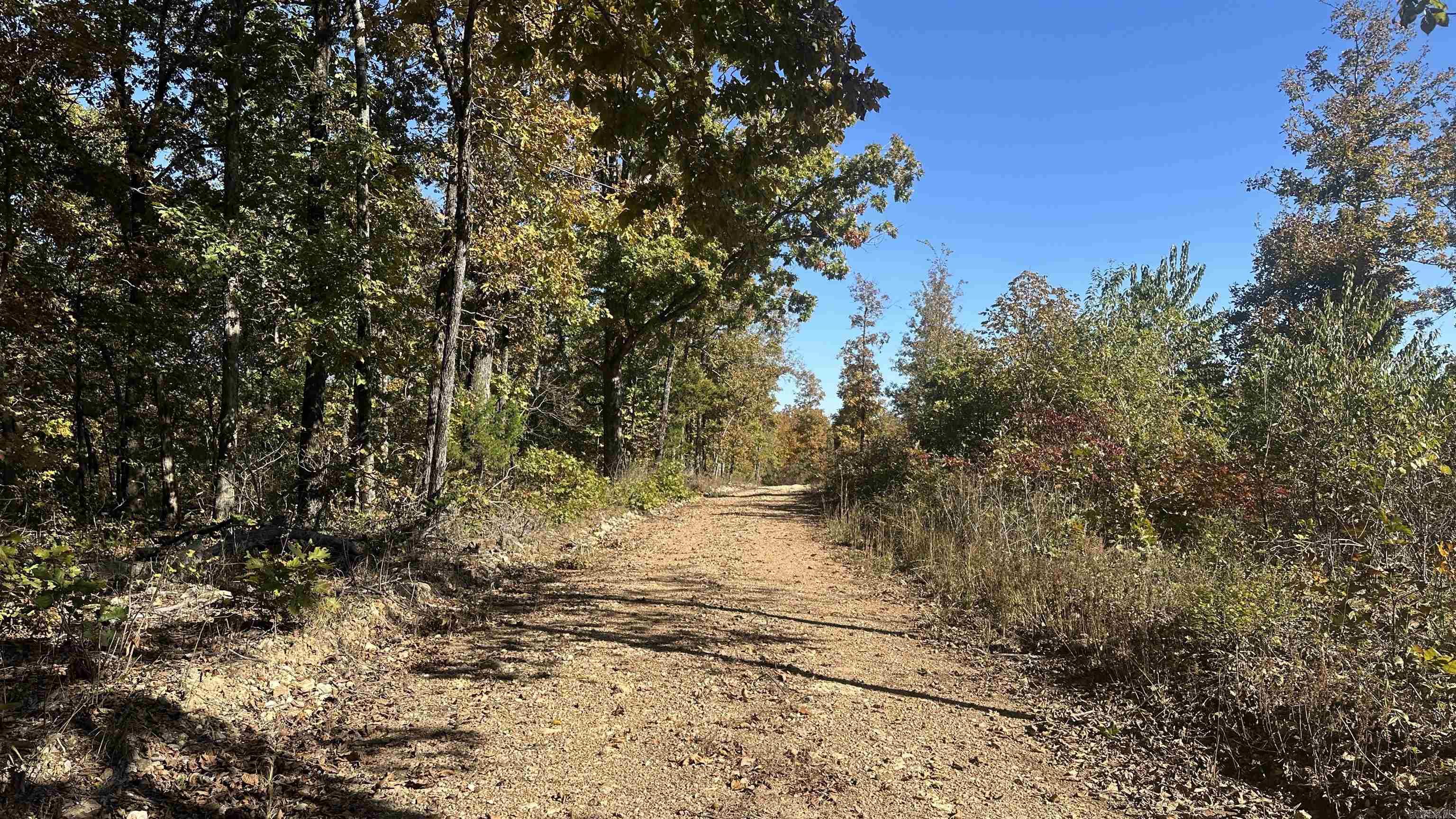 Photo 2 - Vacant Land for sale – 000  Schales Rd.   Sitka, AR