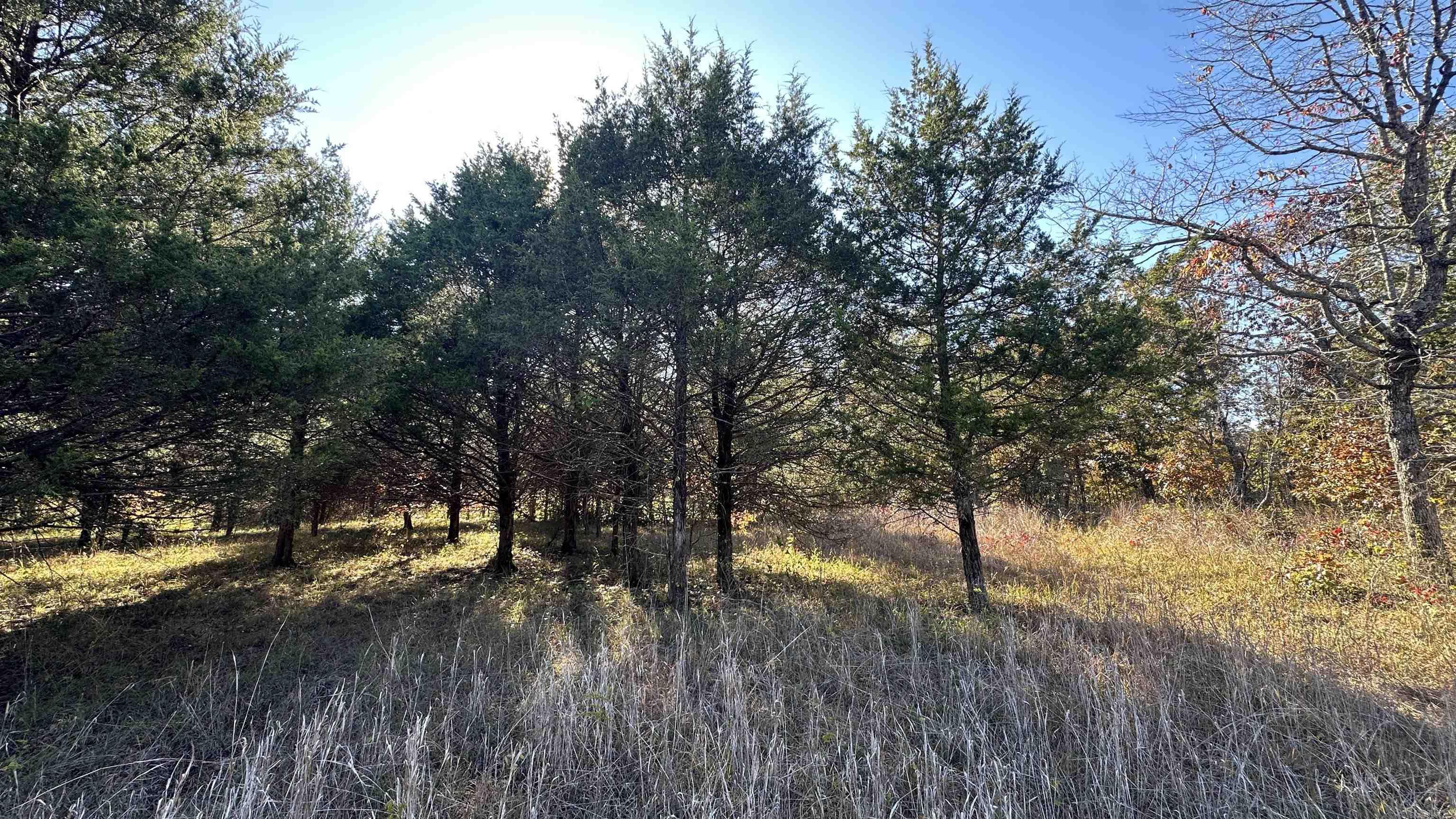 Photo 12 - Vacant Land for sale – 000  Schales Rd.   Sitka, AR