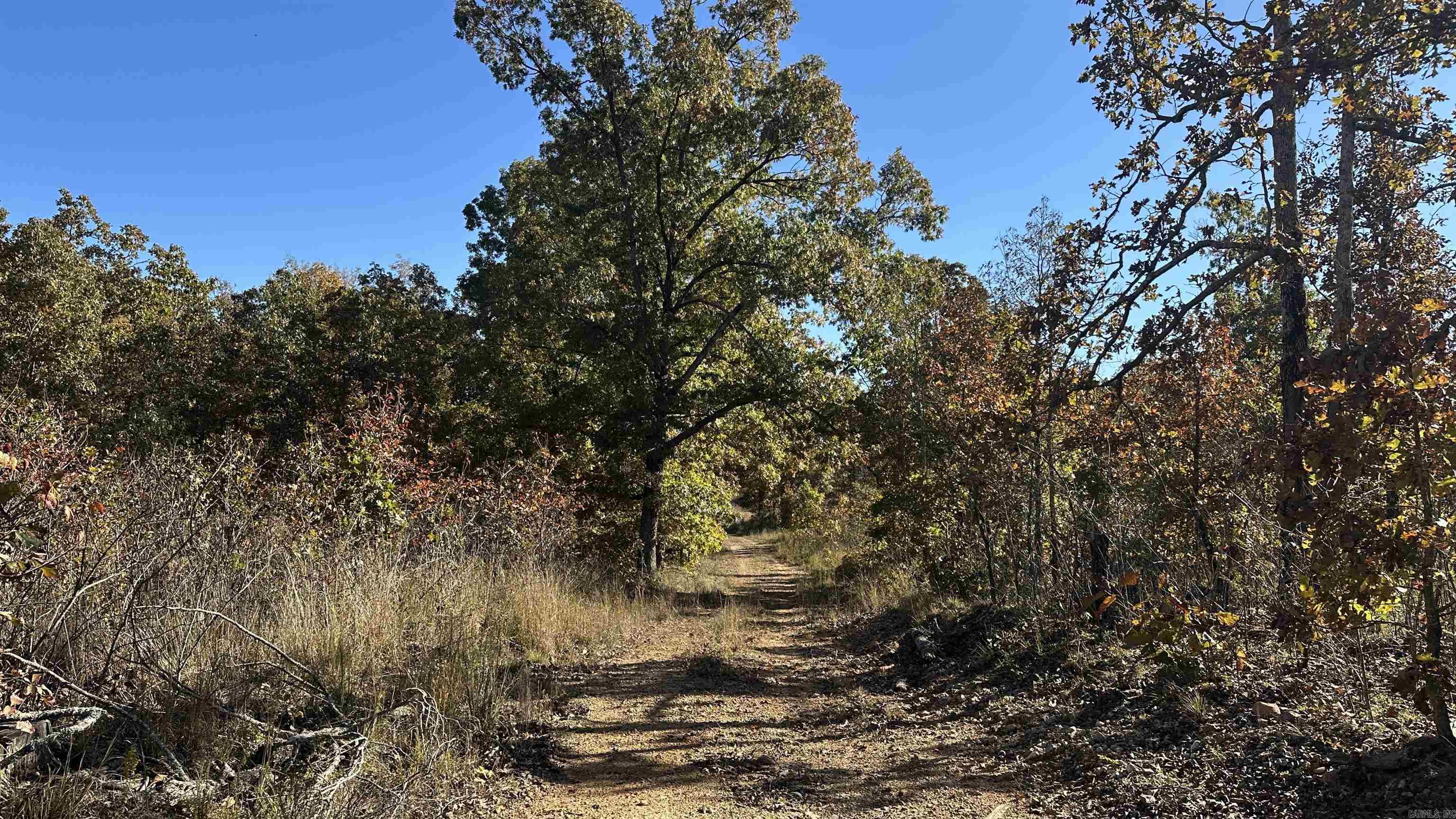 Photo 16 - Vacant Land for sale – 000  Schales Rd.   Sitka, AR