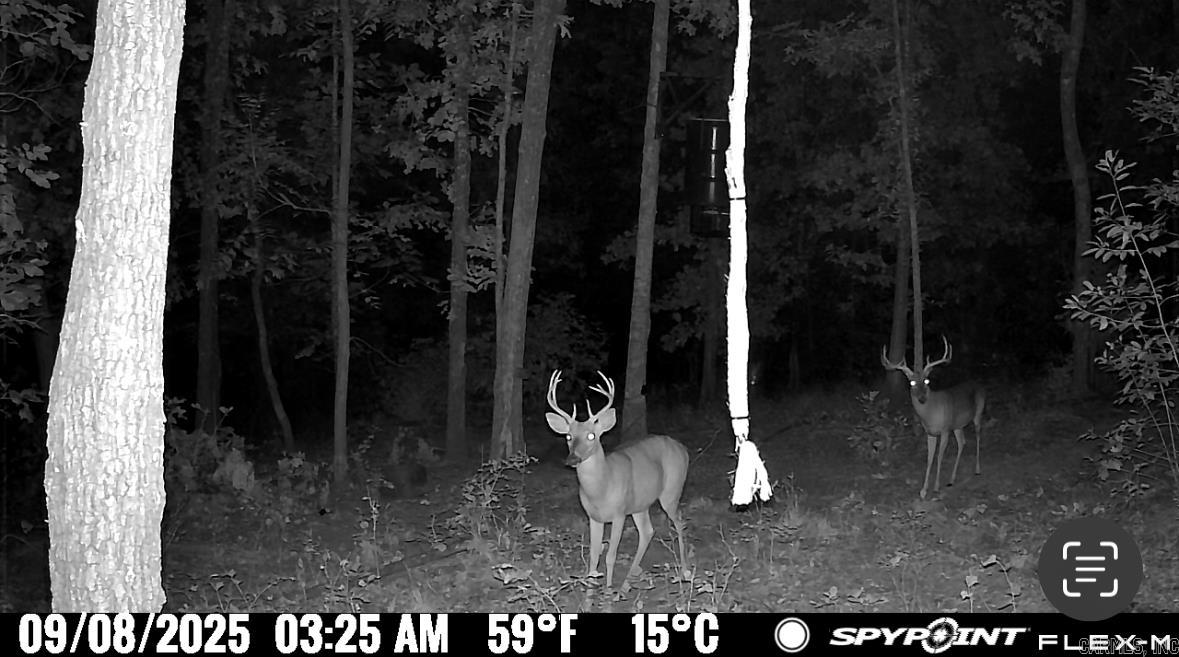 Photo 17 - Vacant Land for sale – 000  Schales Rd.   Sitka, AR