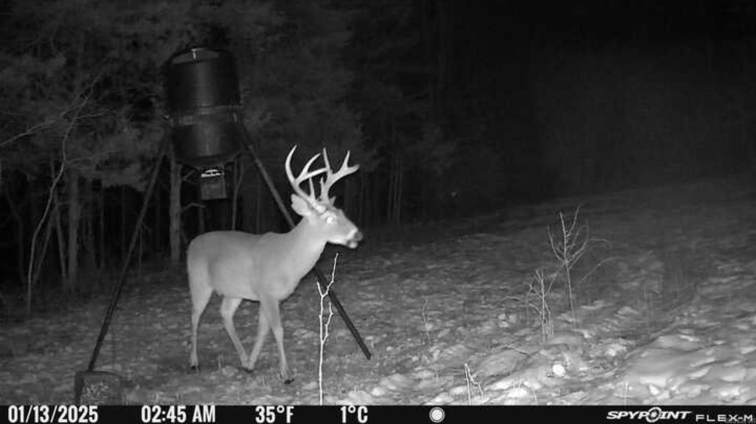 Photo 18 - Vacant Land for sale – 000  Schales Rd.   Sitka, AR