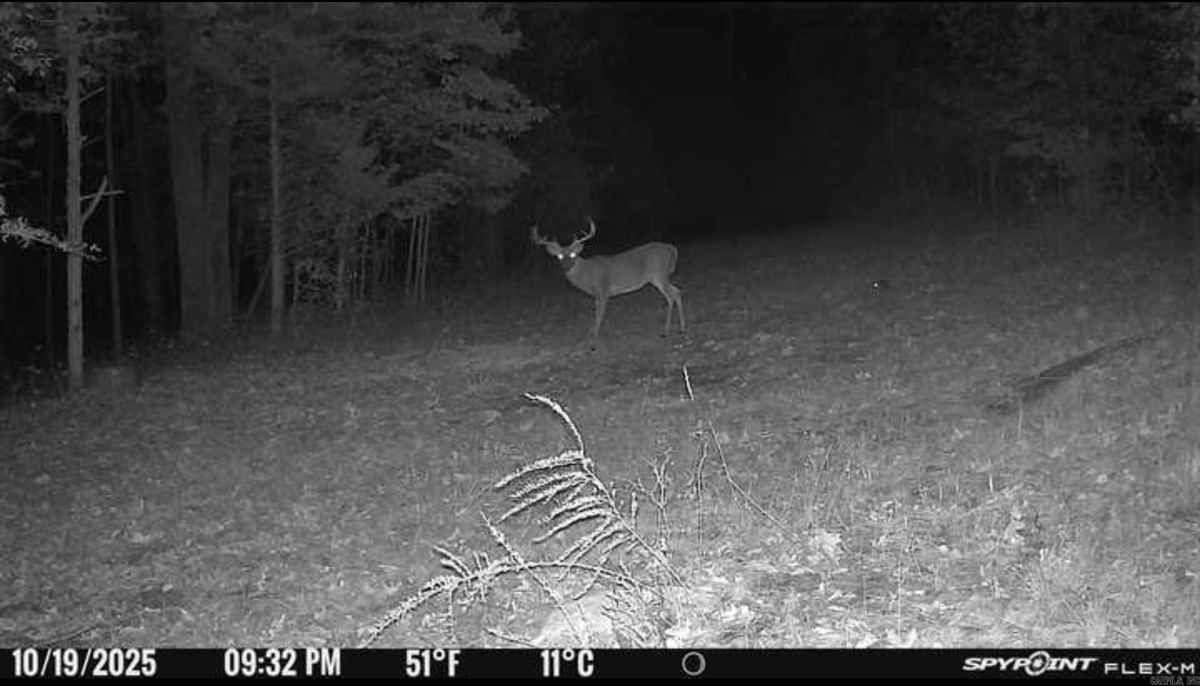 Photo 19 - Vacant Land for sale – 000  Schales Rd.   Sitka, AR