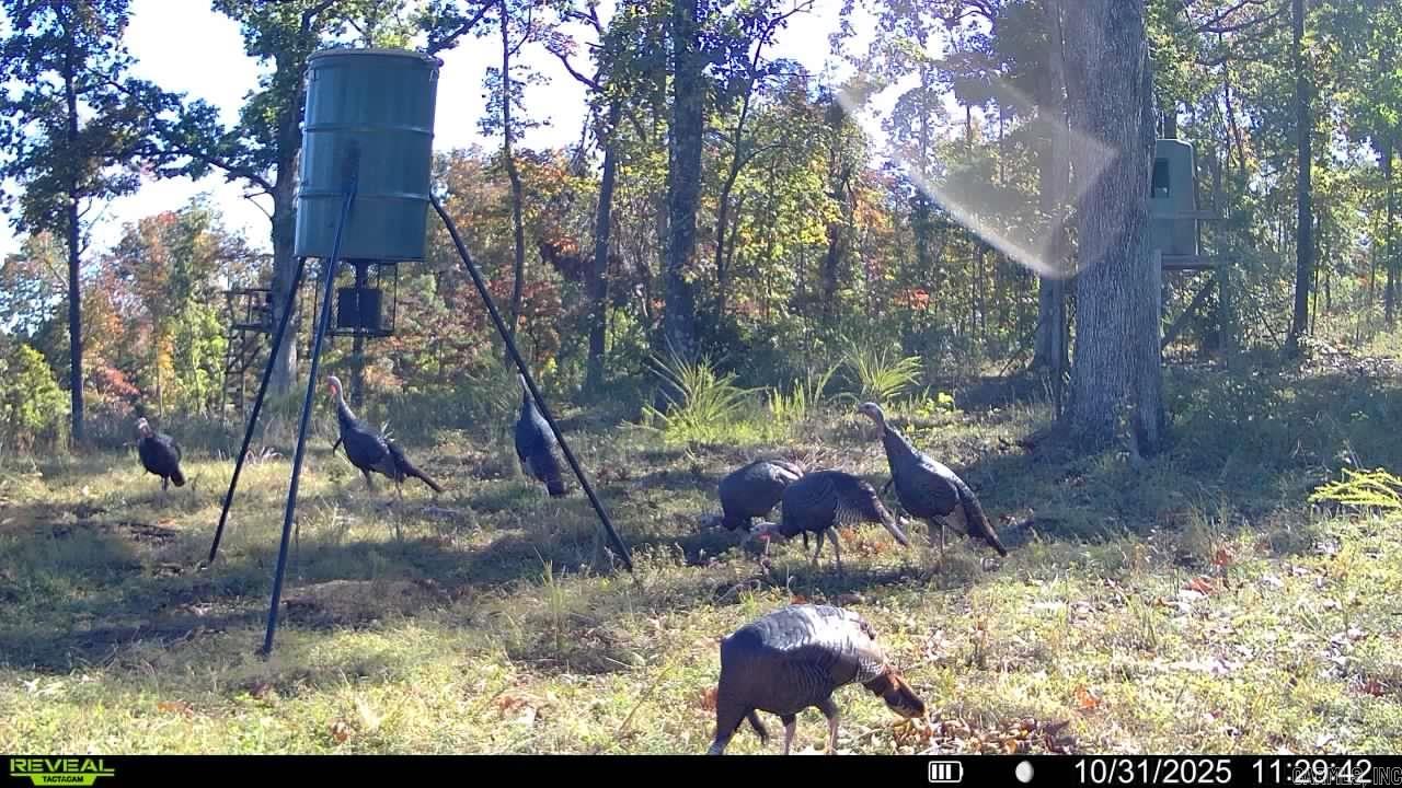 Photo 20 - Vacant Land for sale – 000  Schales Rd.   Sitka, AR