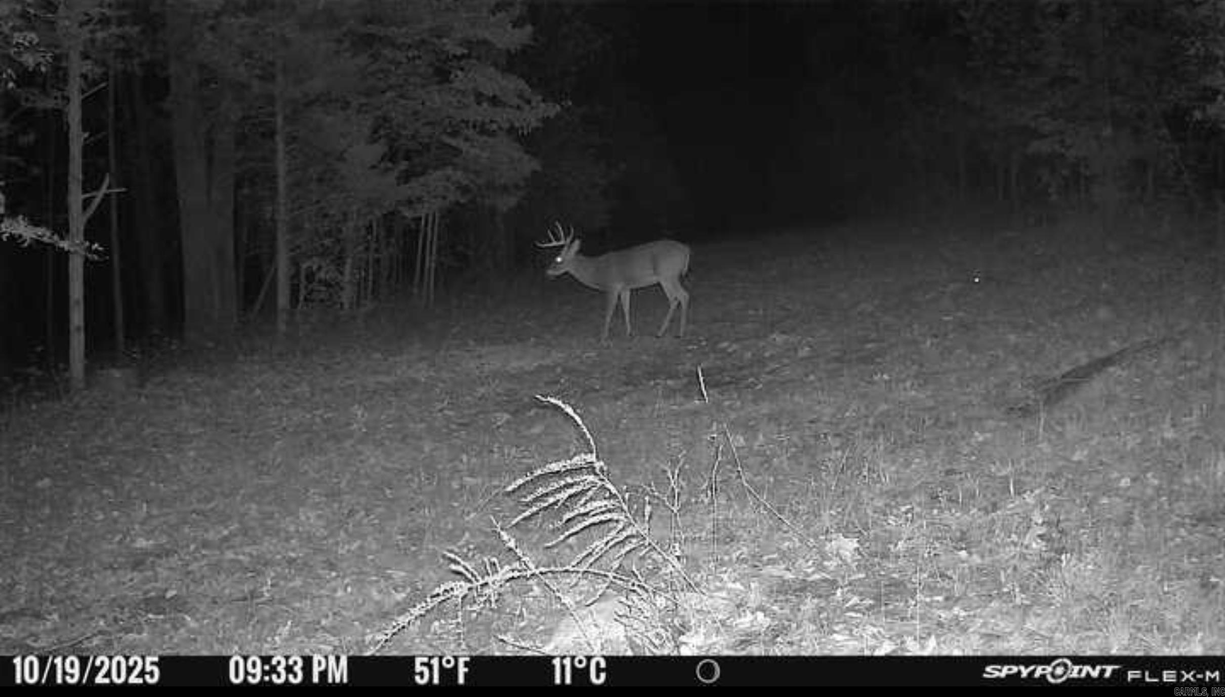 Photo 21 - Vacant Land for sale – 000  Schales Rd.   Sitka, AR