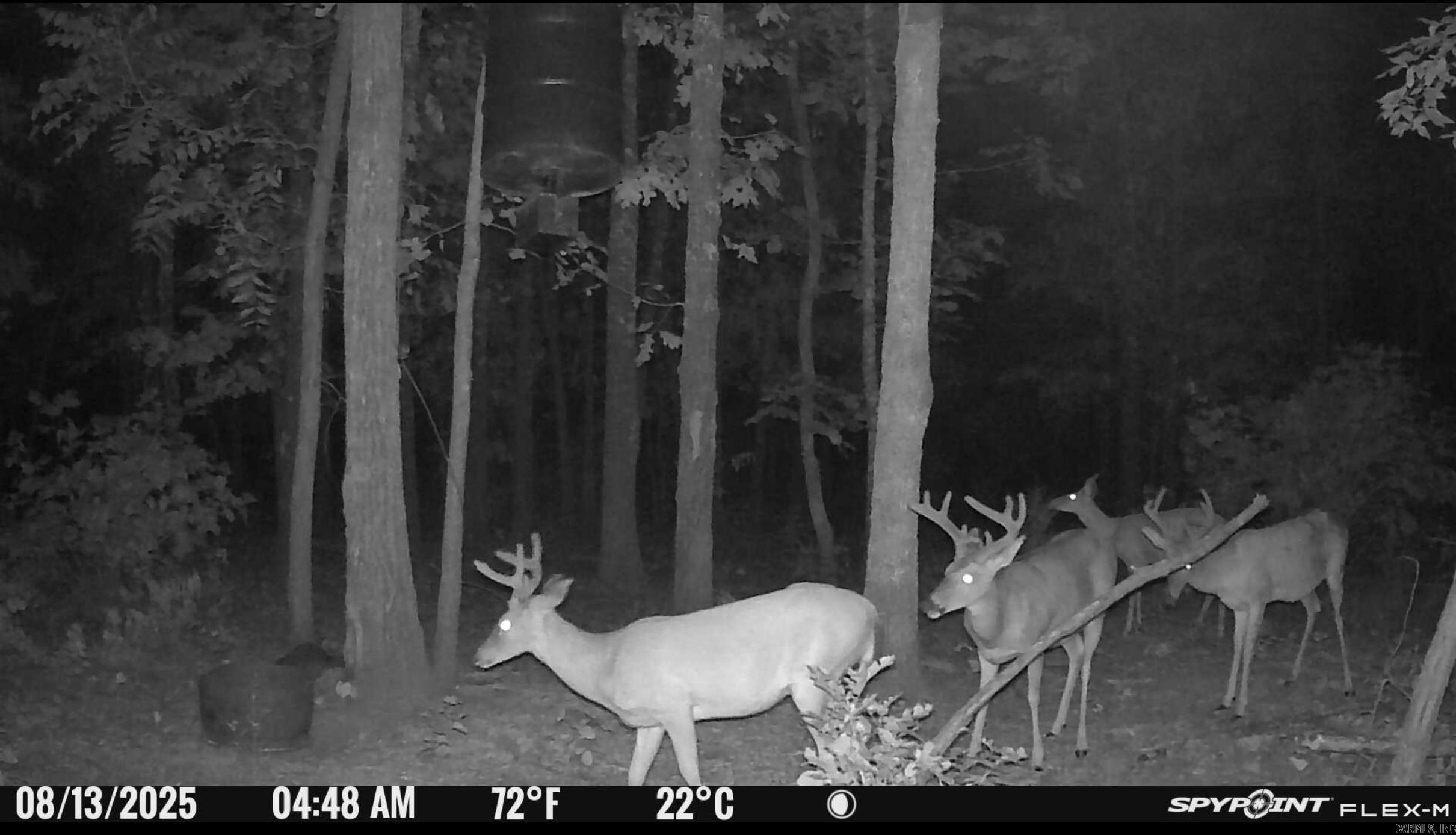 Photo 22 - Vacant Land for sale – 000  Schales Rd.   Sitka, AR