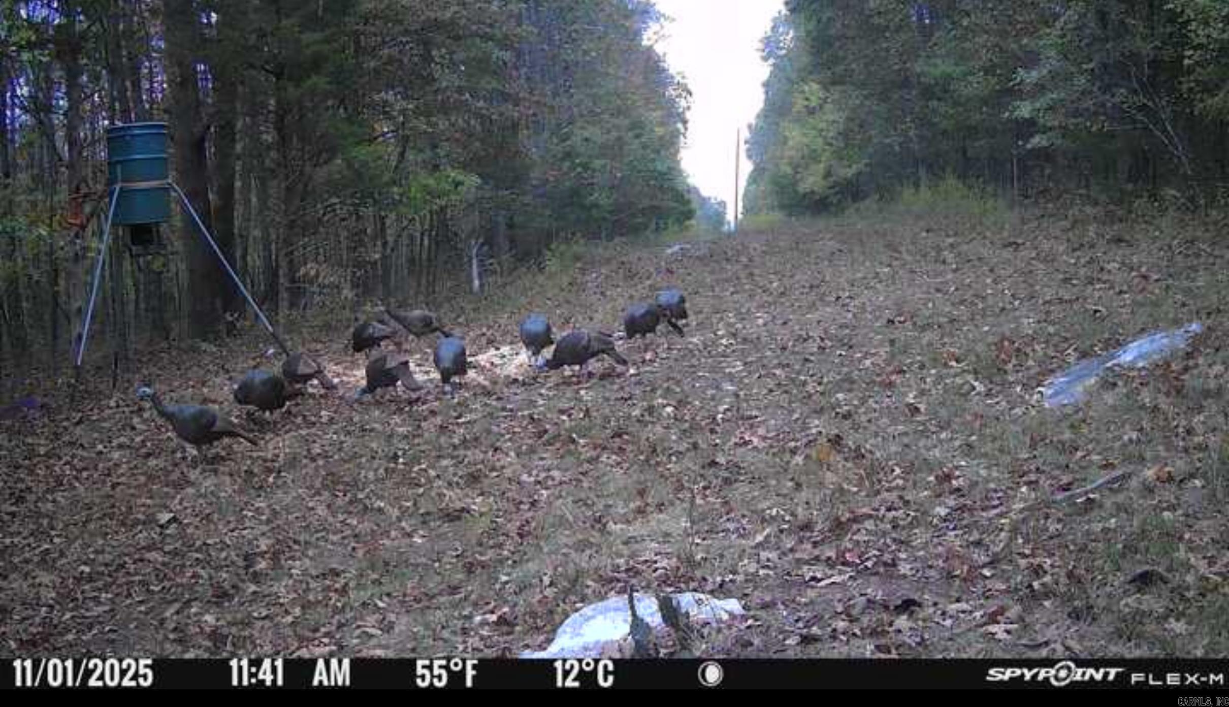 Photo 23 - Vacant Land for sale – 000  Schales Rd.   Sitka, AR