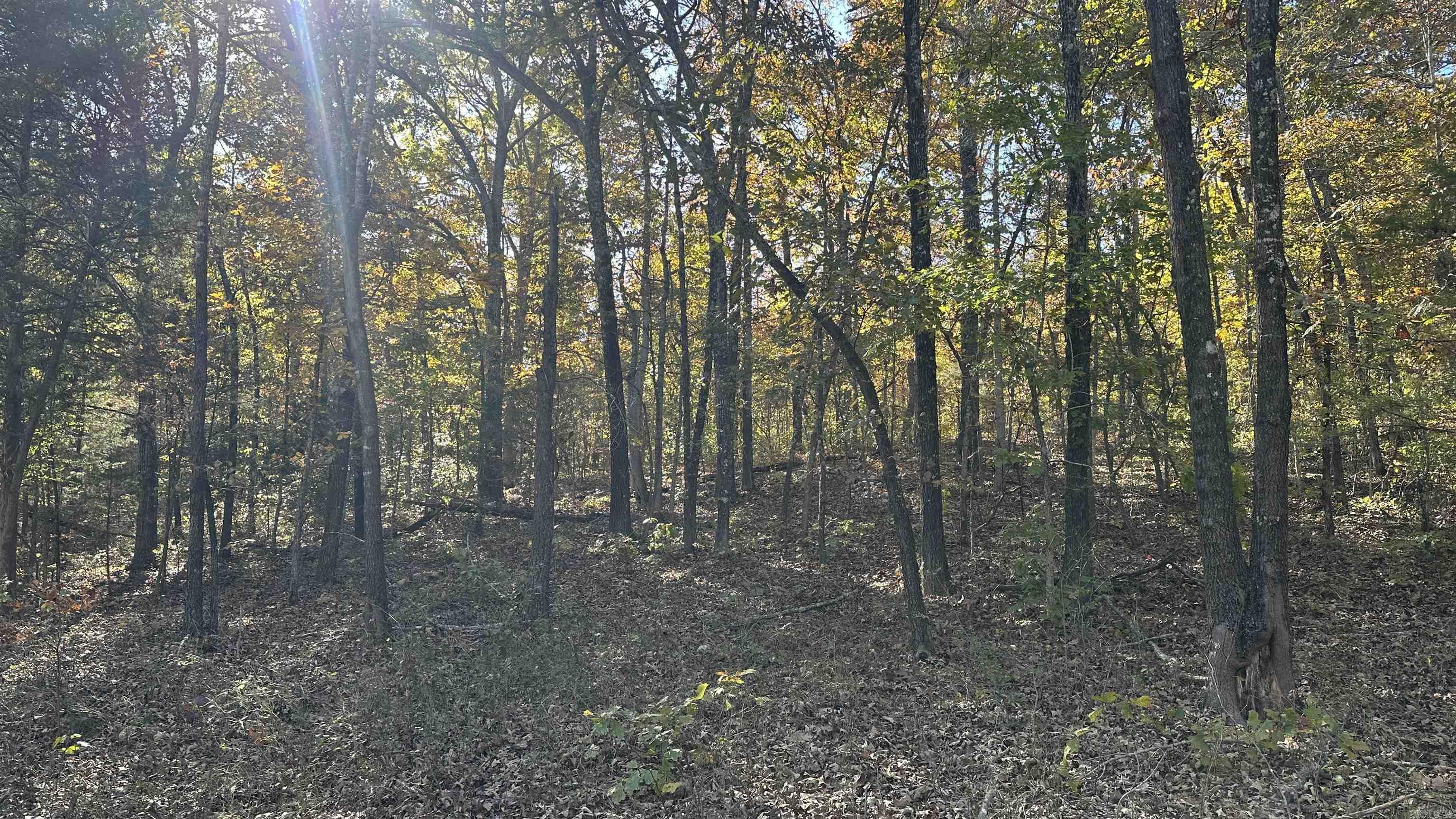 Photo 26 - Vacant Land for sale – 000  Schales Rd.   Sitka, AR