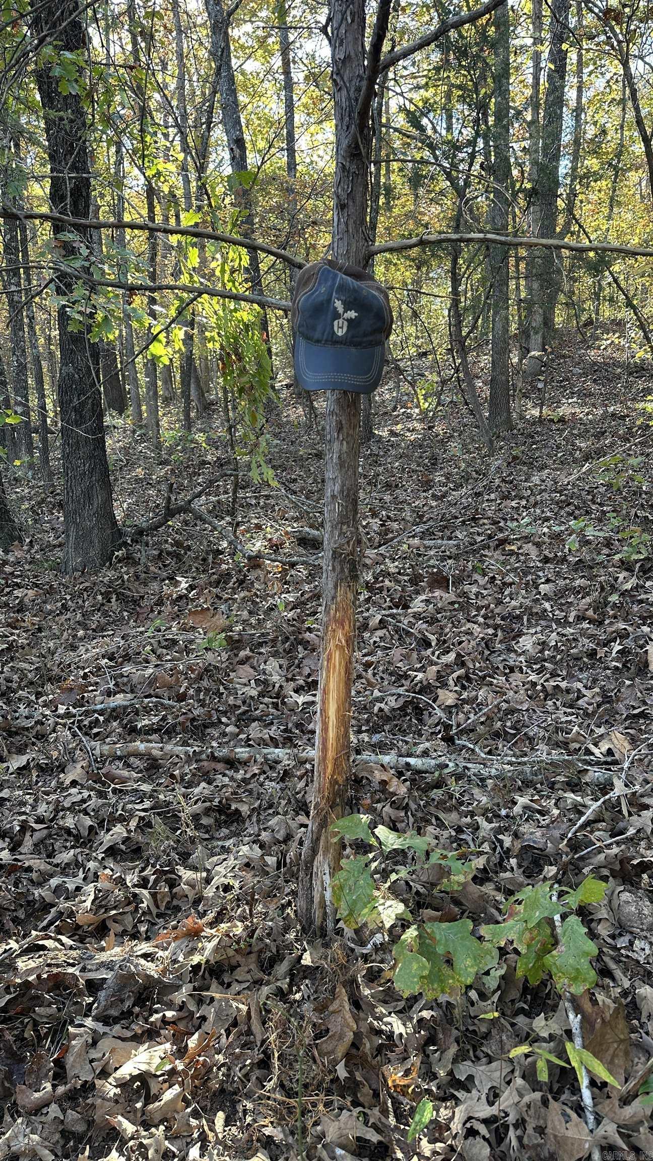 Photo 28 - Vacant Land for sale – 000  Schales Rd.   Sitka, AR