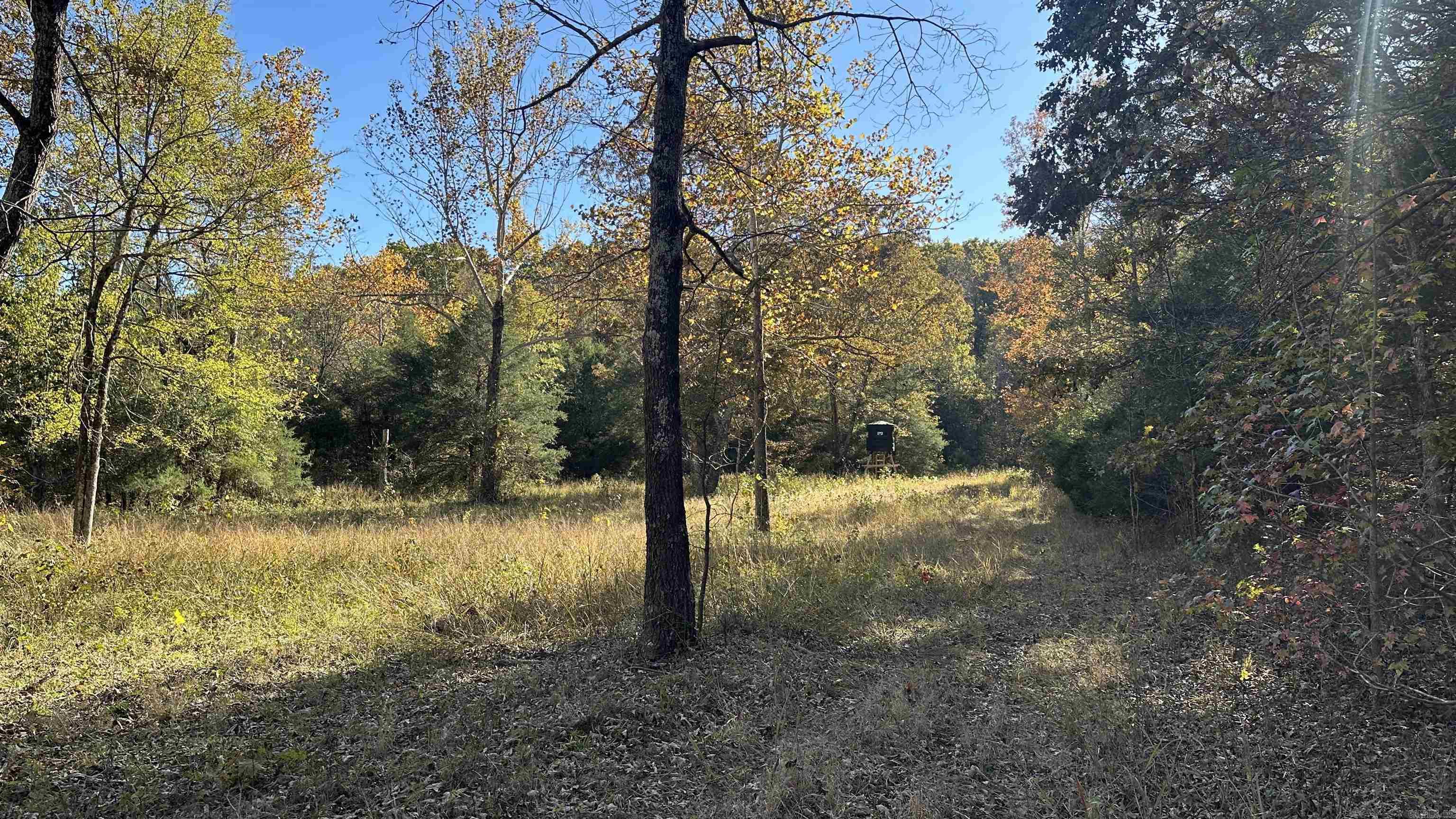Photo 29 - Vacant Land for sale – 000  Schales Rd.   Sitka, AR