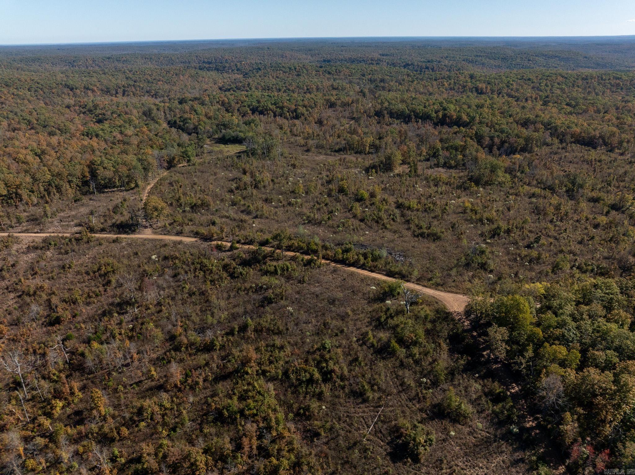 Photo 4 - Vacant Land for sale – 000  Schales Rd.   Sitka, AR