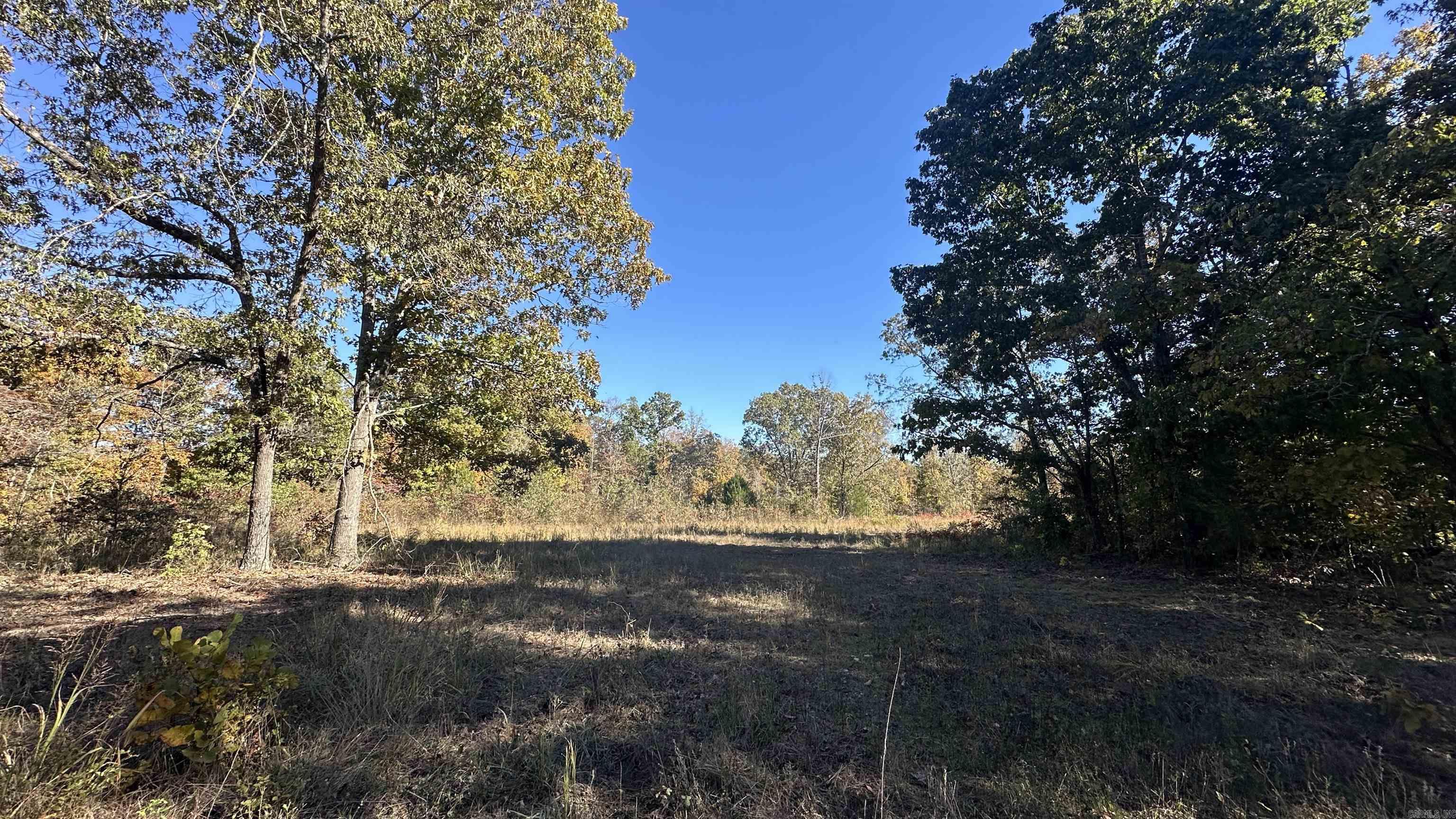 Photo 31 - Vacant Land for sale – 000  Schales Rd.   Sitka, AR