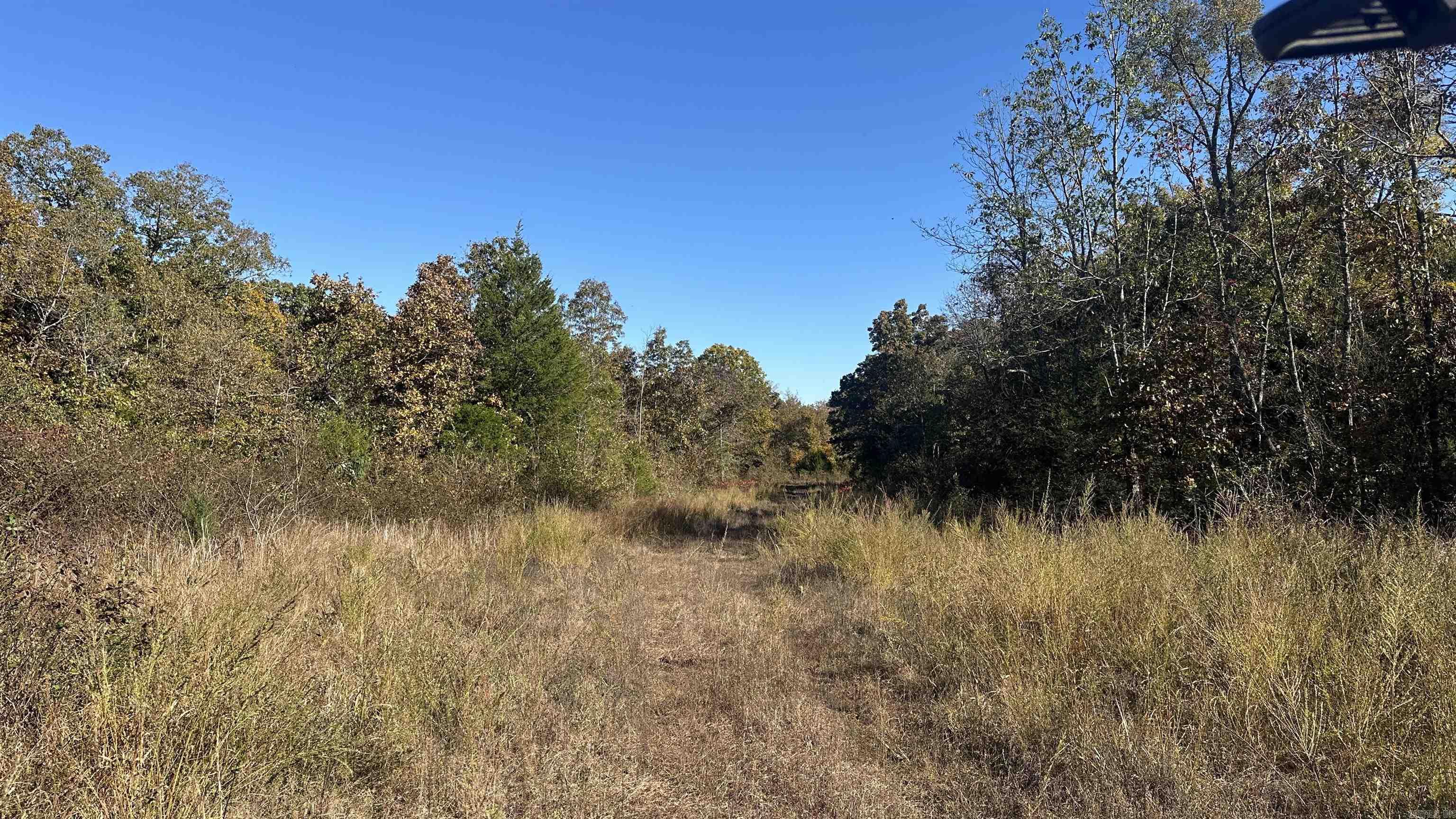 Photo 32 - Vacant Land for sale – 000  Schales Rd.   Sitka, AR