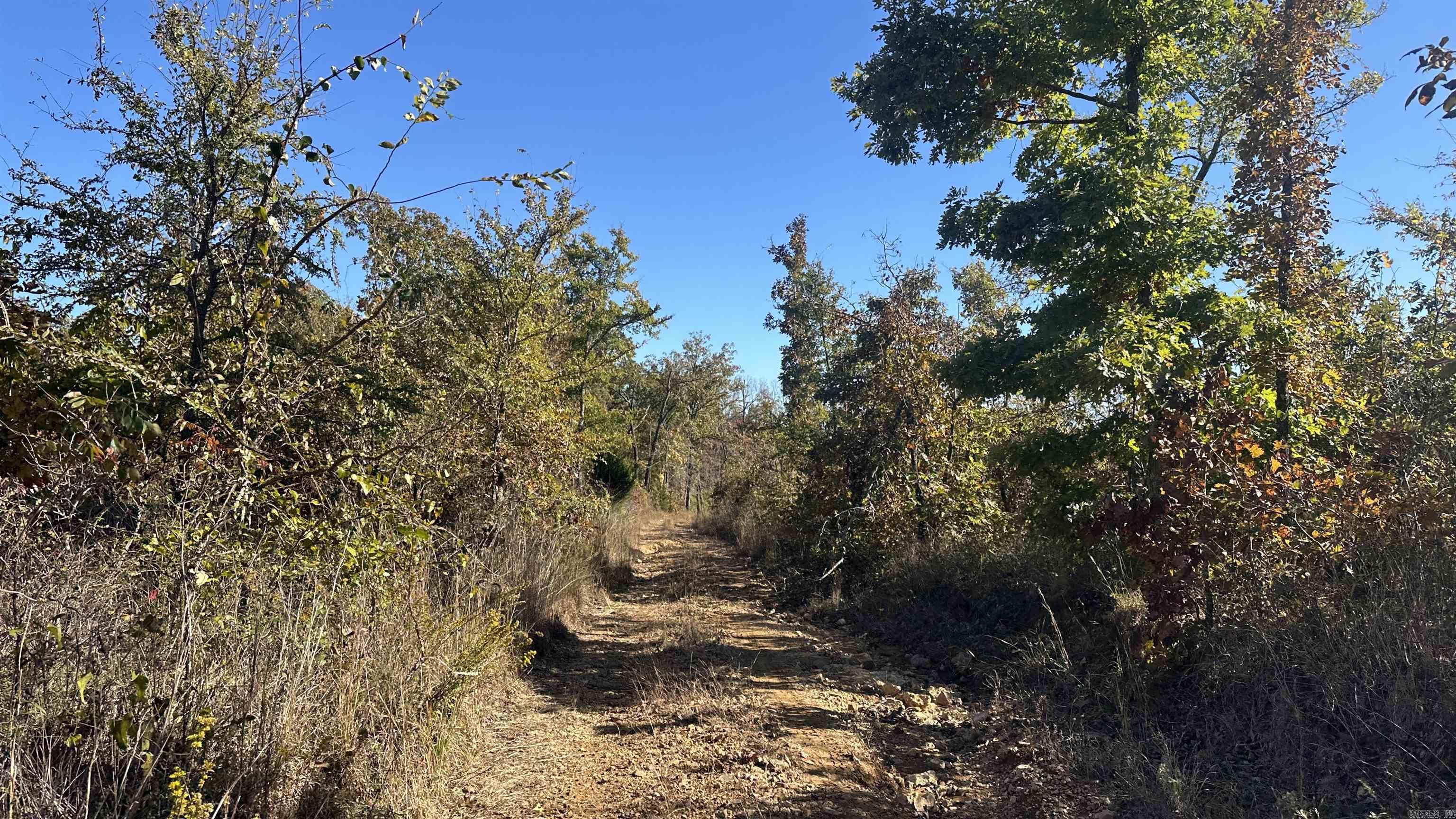 Photo 33 - Vacant Land for sale – 000  Schales Rd.   Sitka, AR