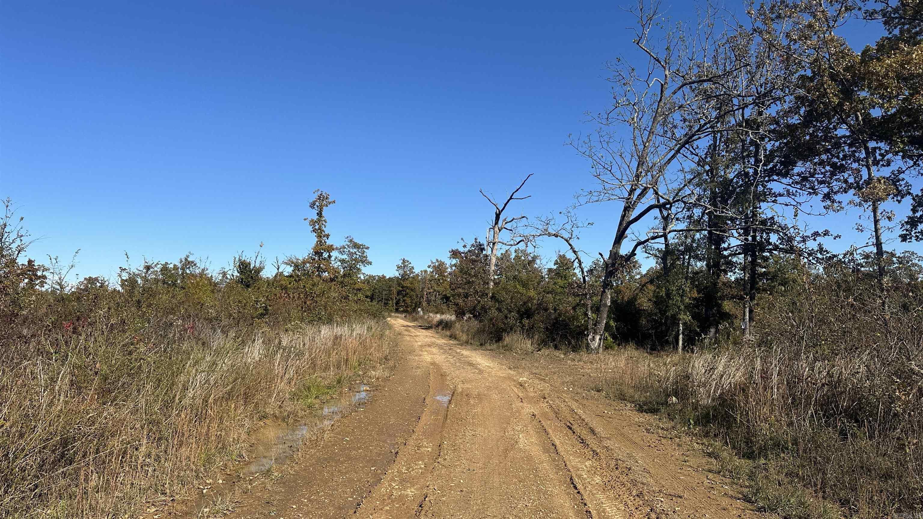 Photo 34 - Vacant Land for sale – 000  Schales Rd.   Sitka, AR