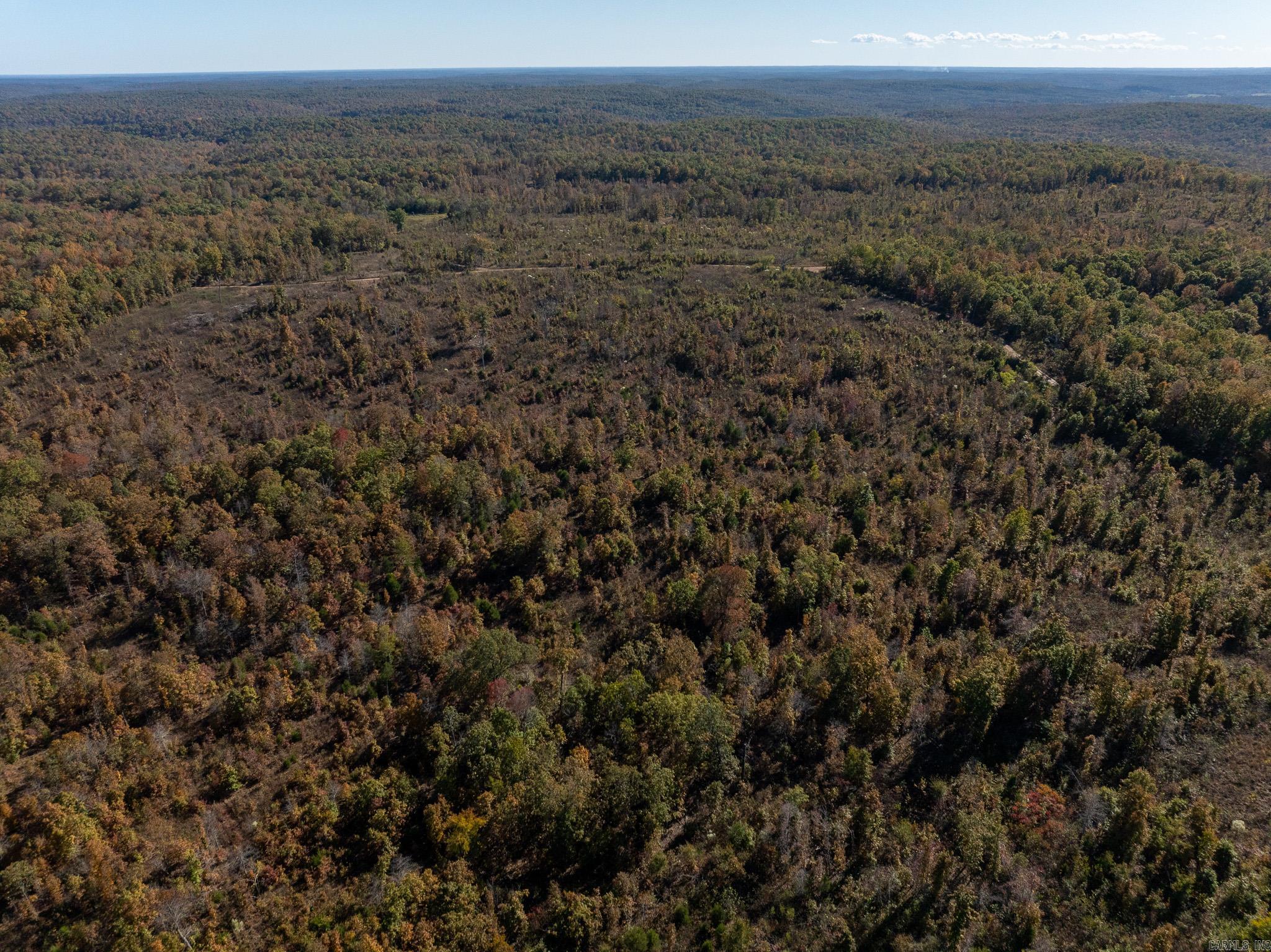 Photo 36 - Vacant Land for sale – 000  Schales Rd.   Sitka, AR