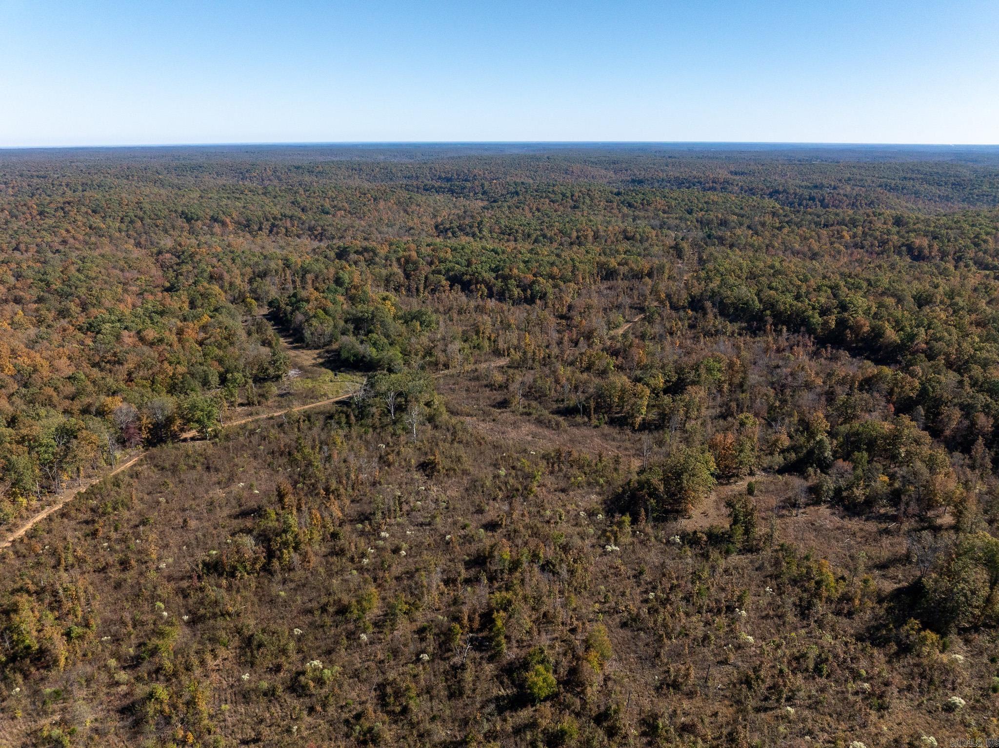 Photo 37 - Vacant Land for sale – 000  Schales Rd.   Sitka, AR