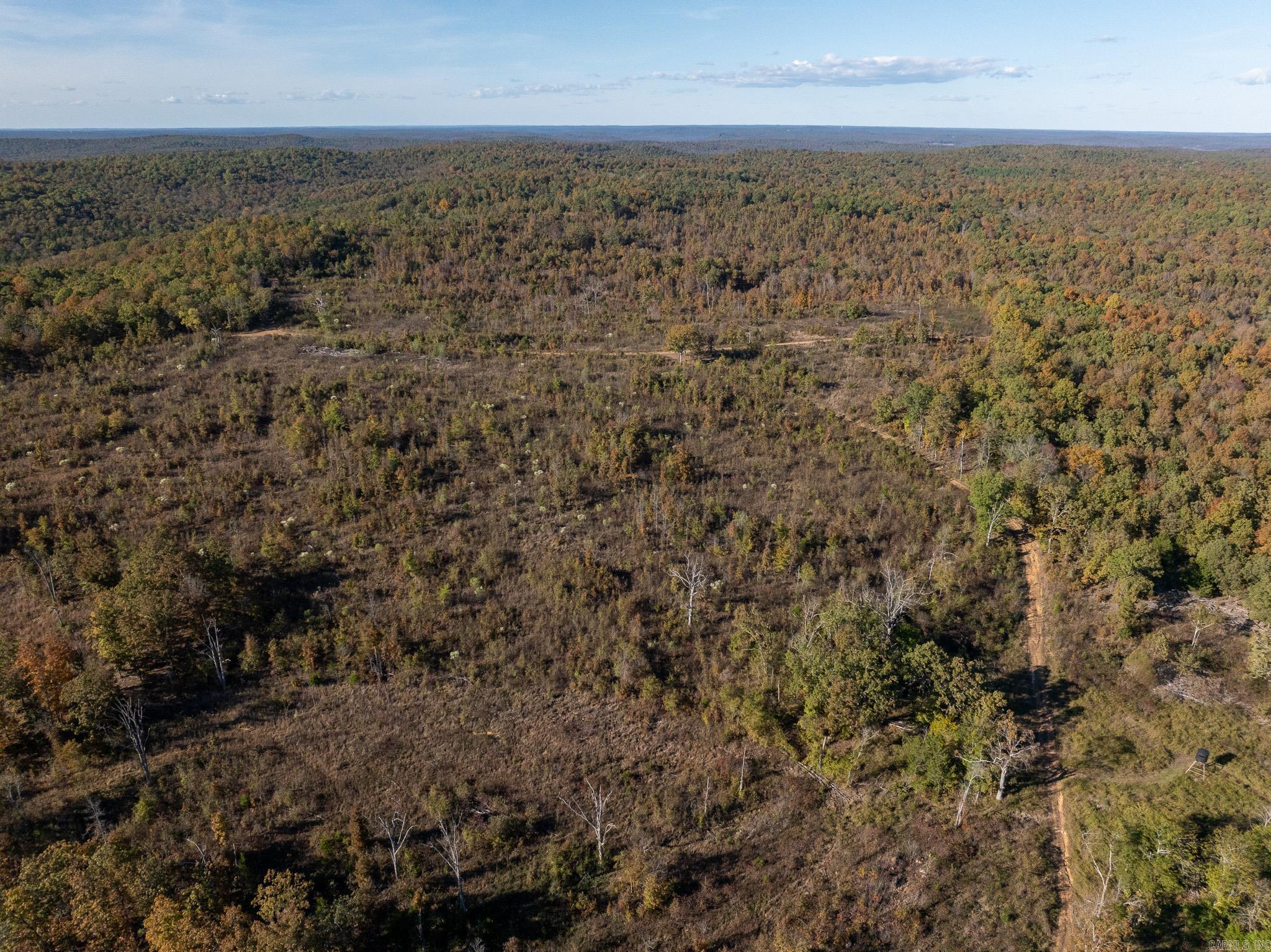 Photo 5 - Vacant Land for sale – 000  Schales Rd.   Sitka, AR