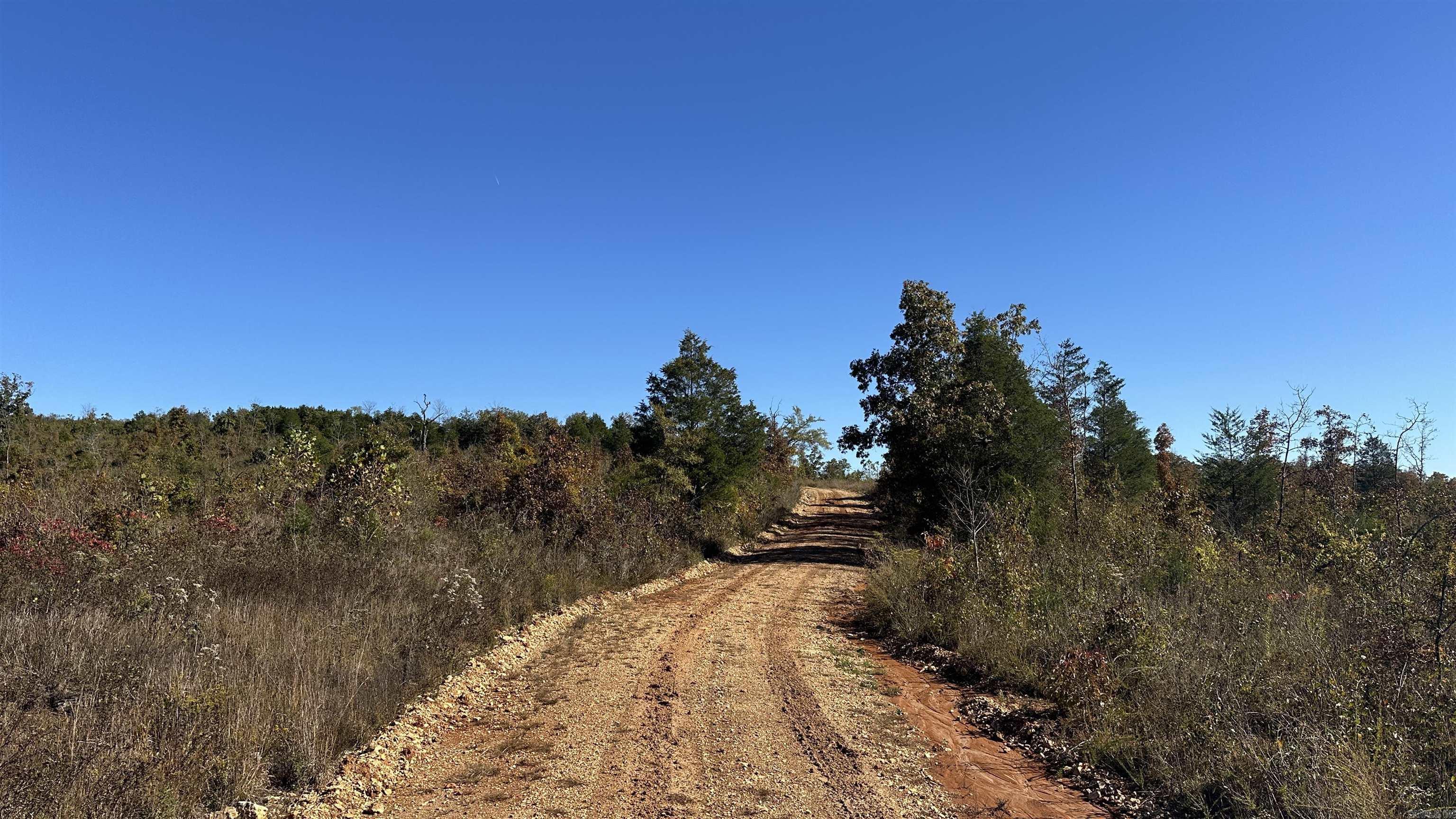 Photo 40 - Vacant Land for sale – 000  Schales Rd.   Sitka, AR