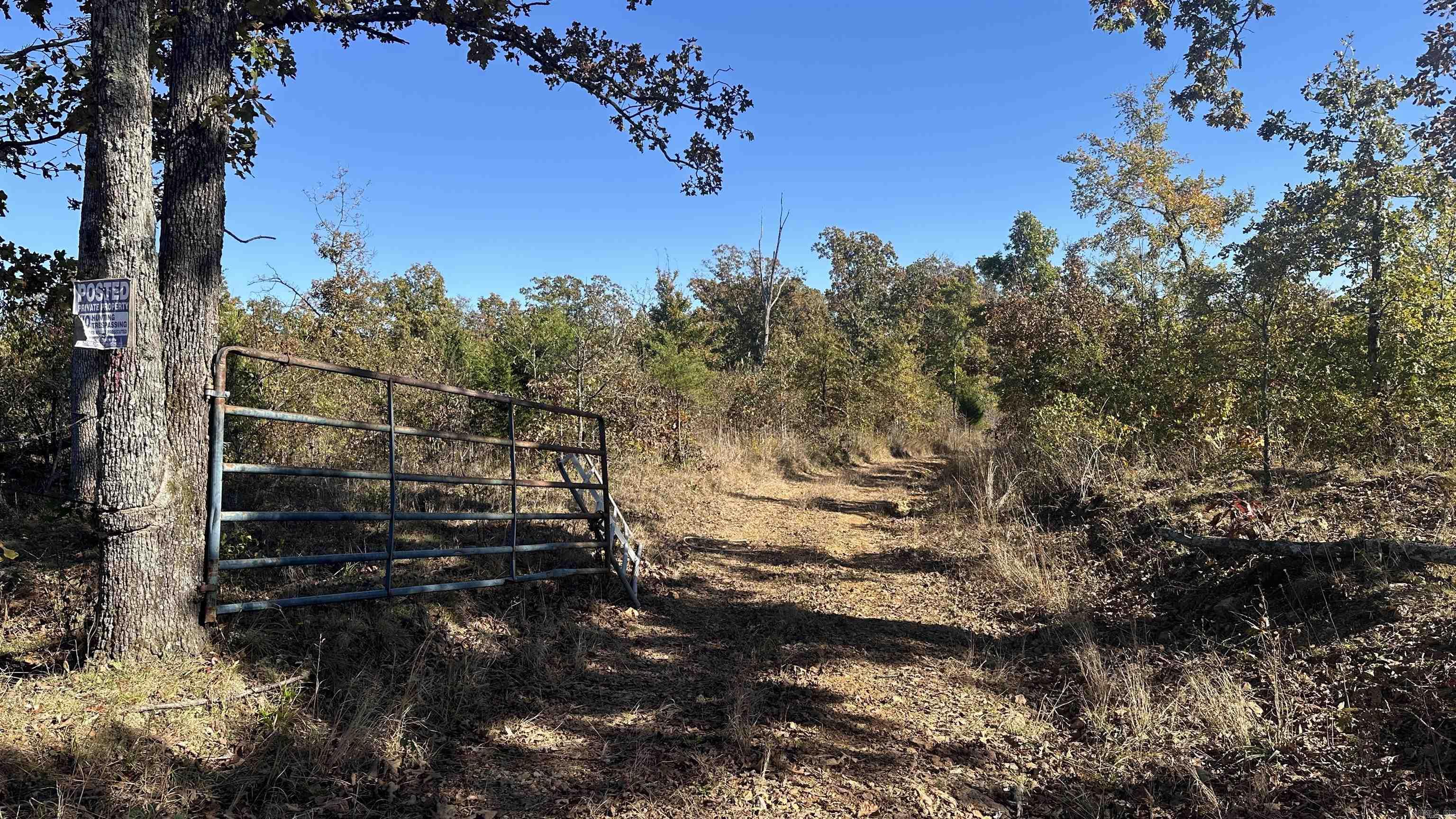 Photo 41 - Vacant Land for sale – 000  Schales Rd.   Sitka, AR