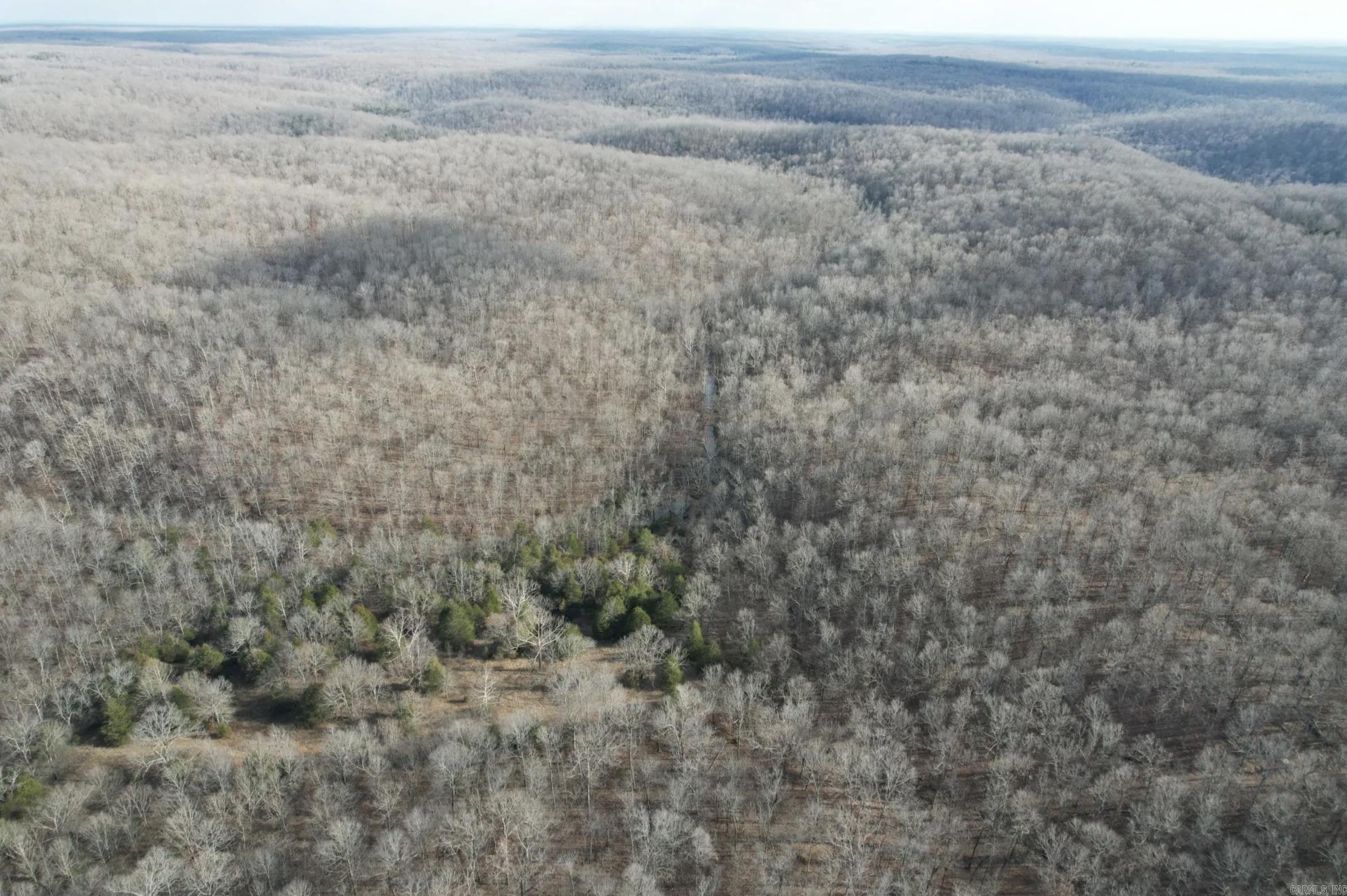 Photo 42 - Vacant Land for sale – 000  Schales Rd.   Sitka, AR