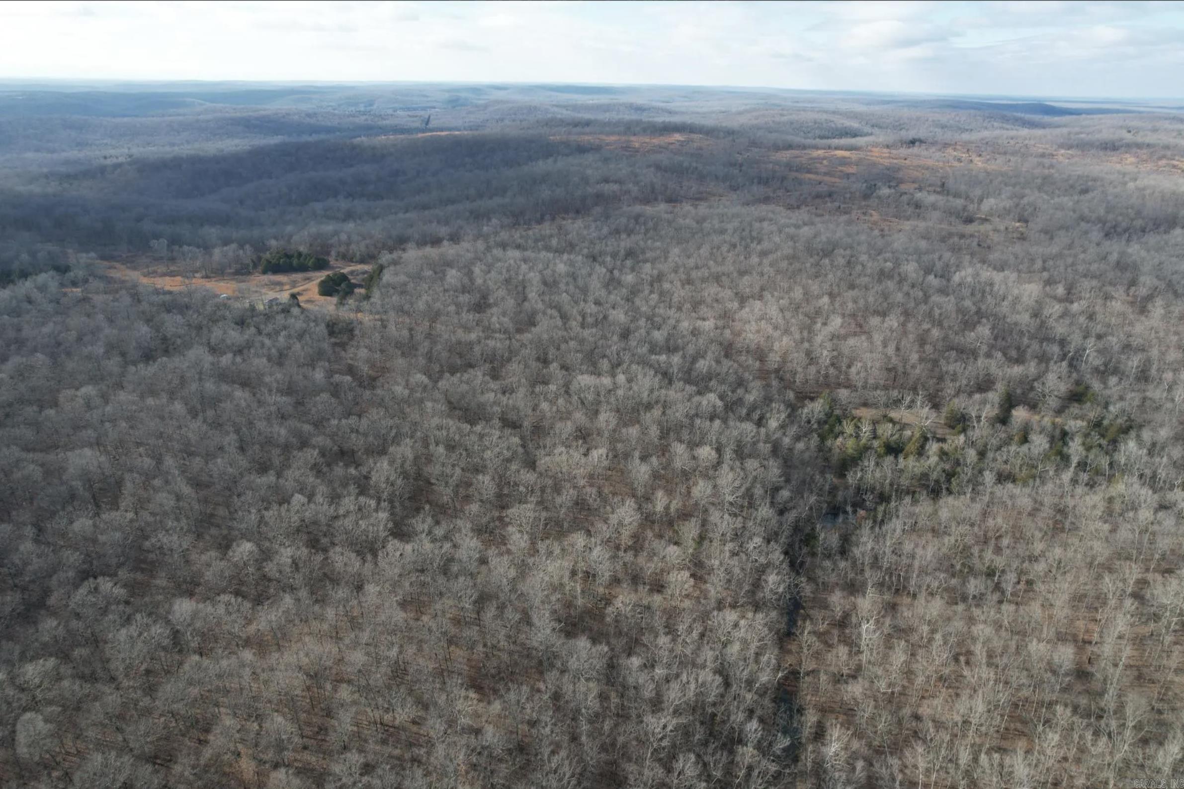 Photo 43 - Vacant Land for sale – 000  Schales Rd.   Sitka, AR