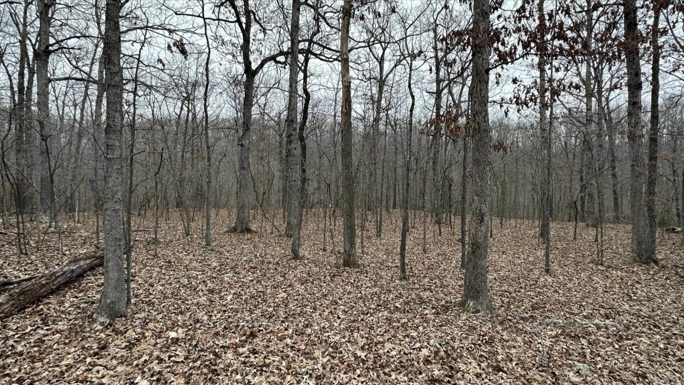 Photo 44 - Vacant Land for sale – 000  Schales Rd.   Sitka, AR